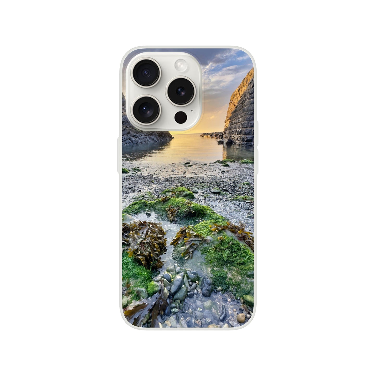 42db9e54-9f9f-499d-8ce9-4f6f5d7e9962