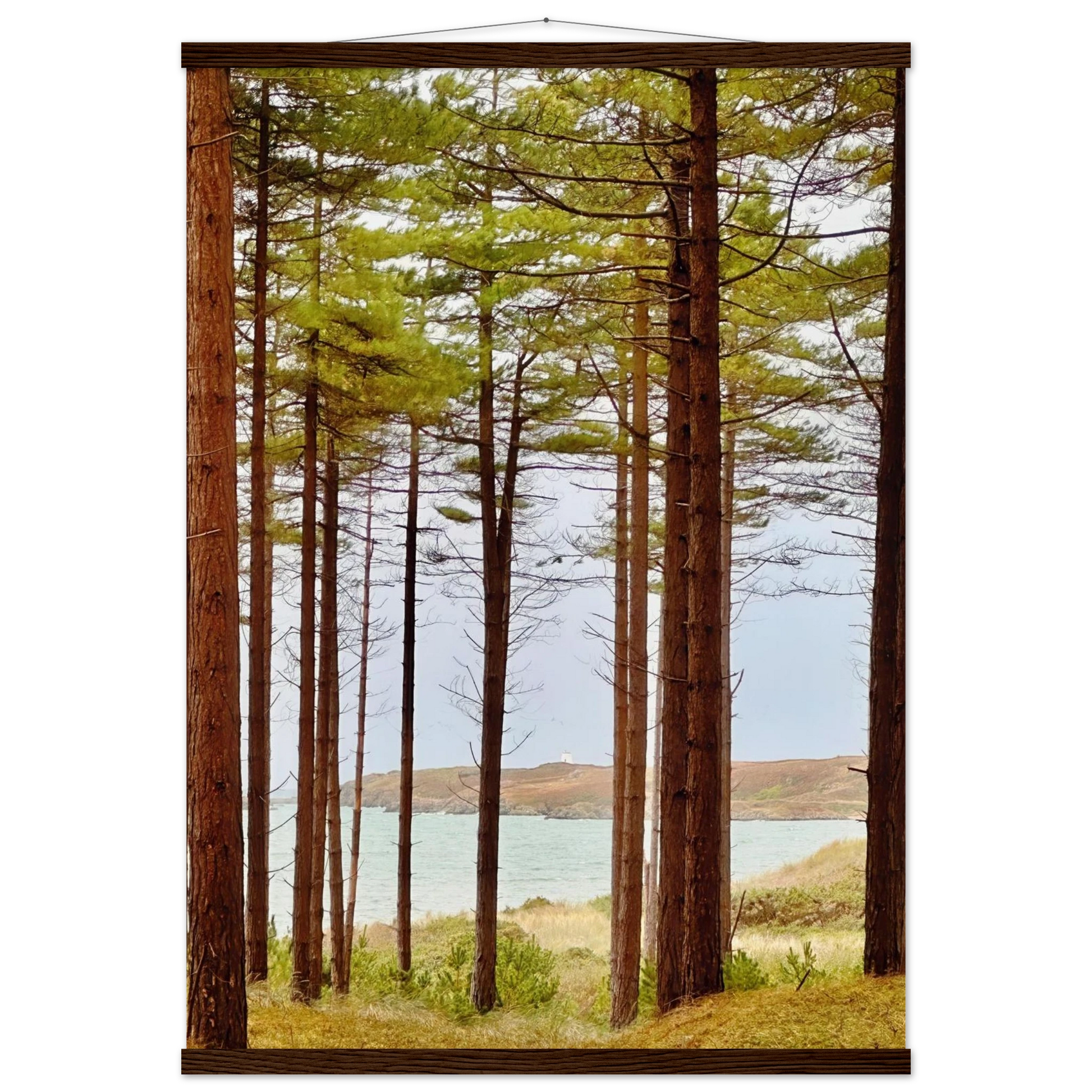 4450bf44-676f-44fd-bfa1-c86cd3fe1628