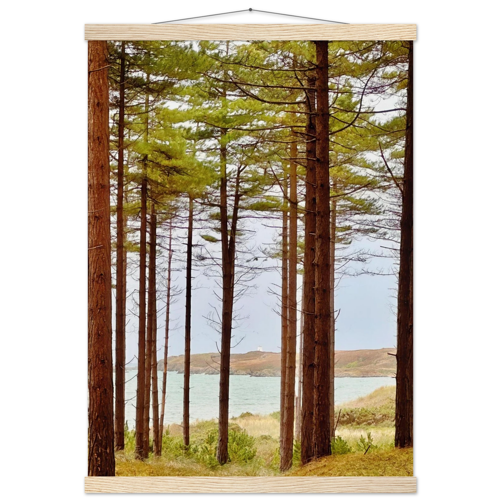 464bbde3-b56a-4e1a-b243-aa88bdcdc3bb