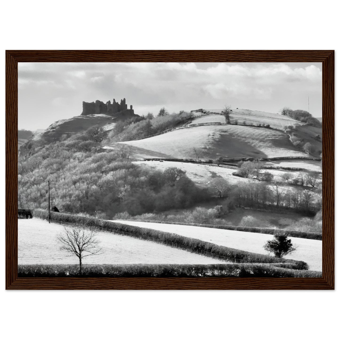 470713ff-f32b-4ce7-b0fd-3abf707046f7