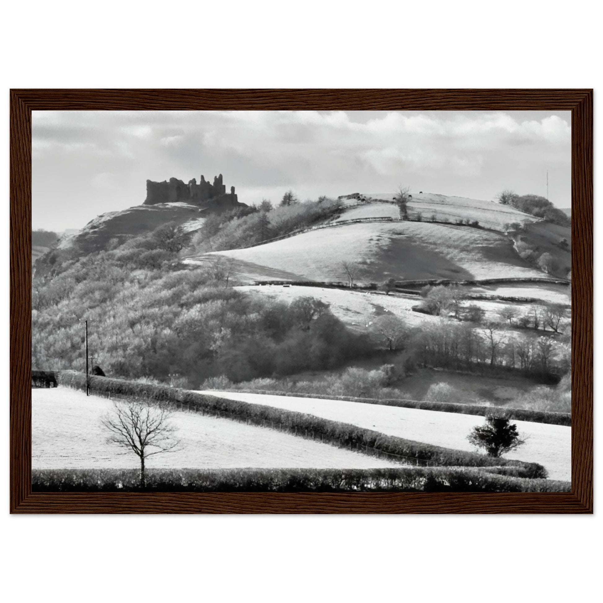 470713ff-f32b-4ce7-b0fd-3abf707046f7