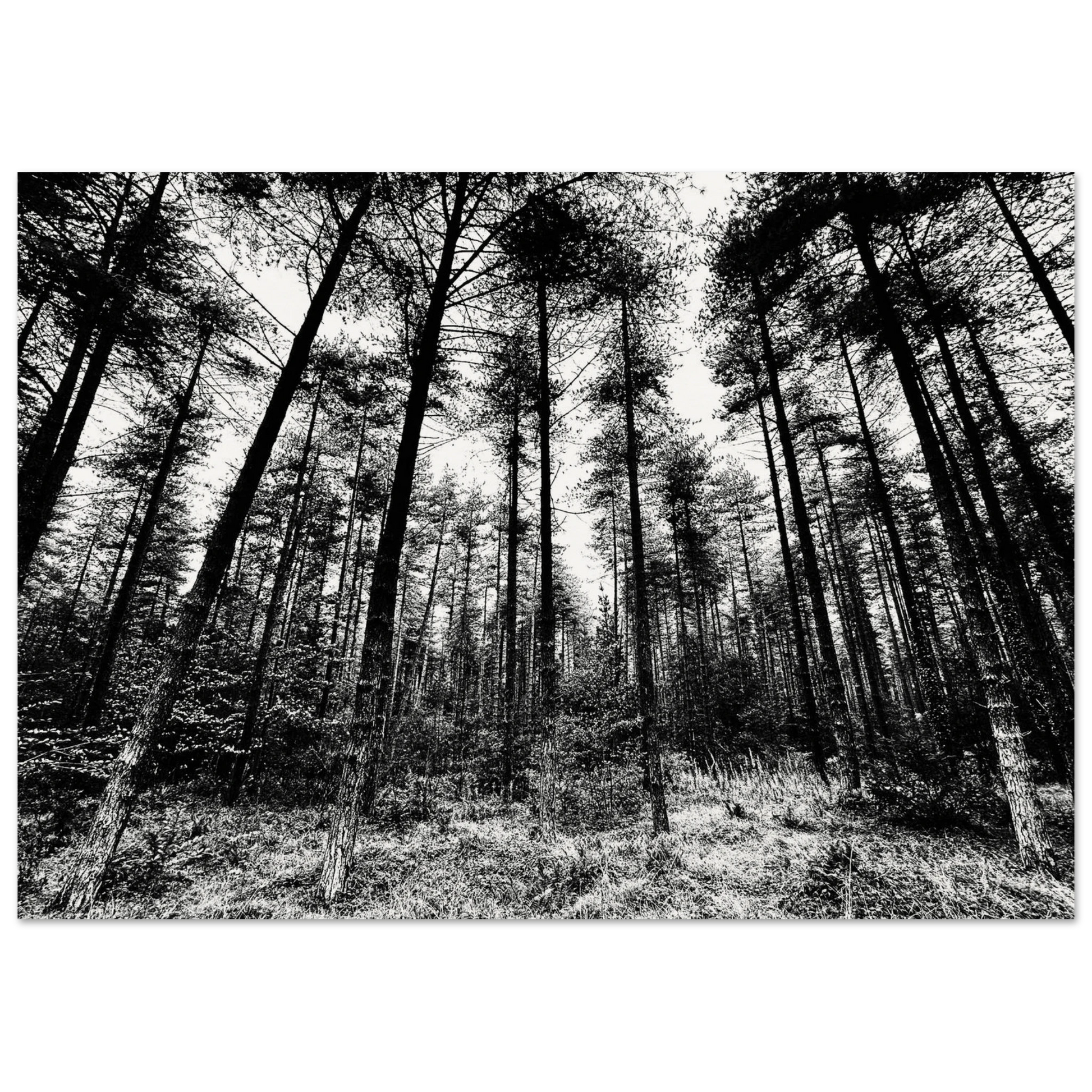 473435e2-a3f2-486c-a79e-b083d08adfdc