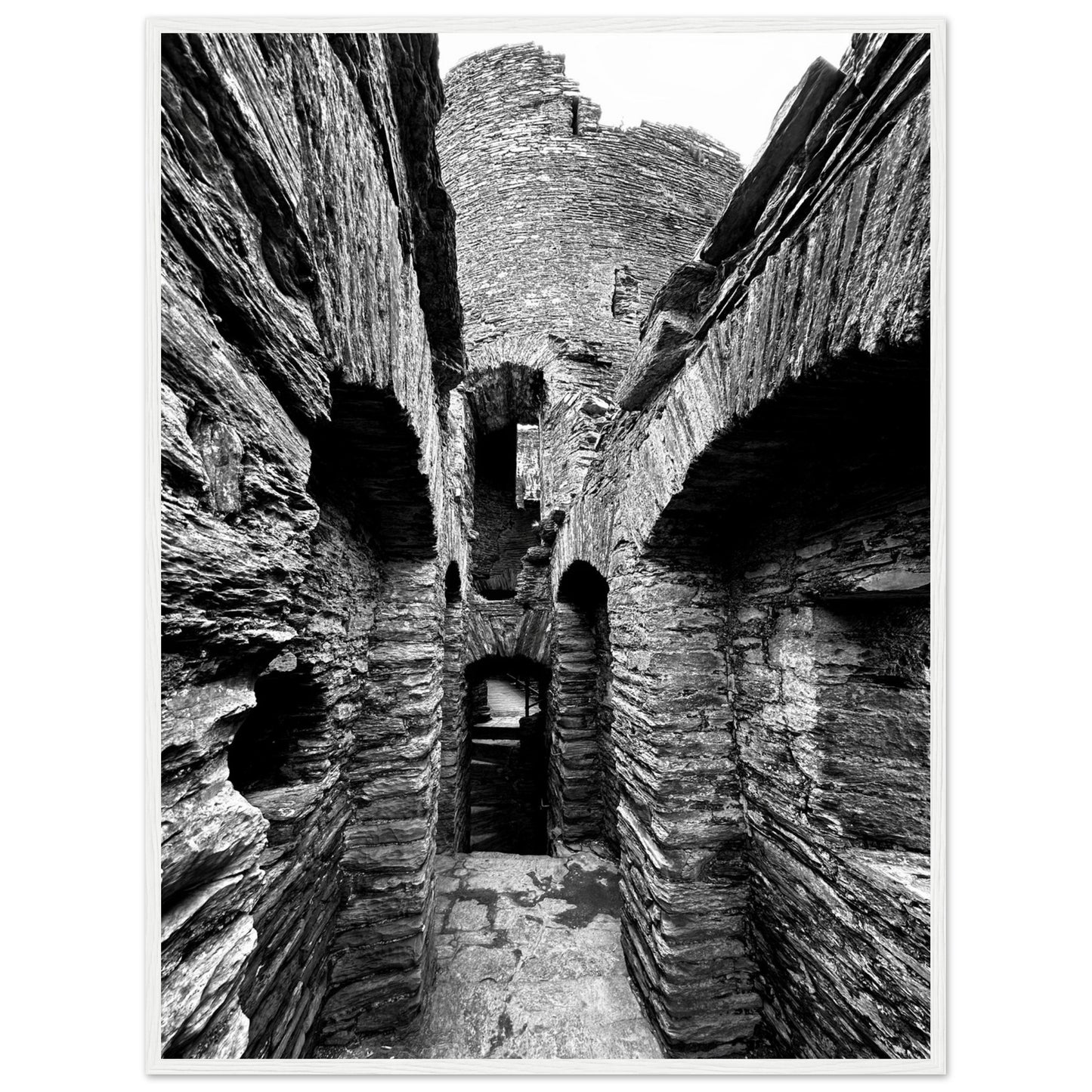 48e52340-2bd0-4d0f-bab5-ad64c801eb33