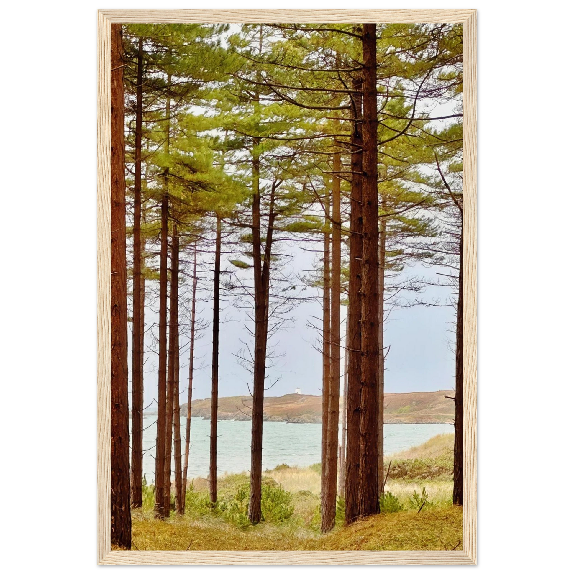 4dfbfec1-6d9a-4943-9ef3-08795d4f1955