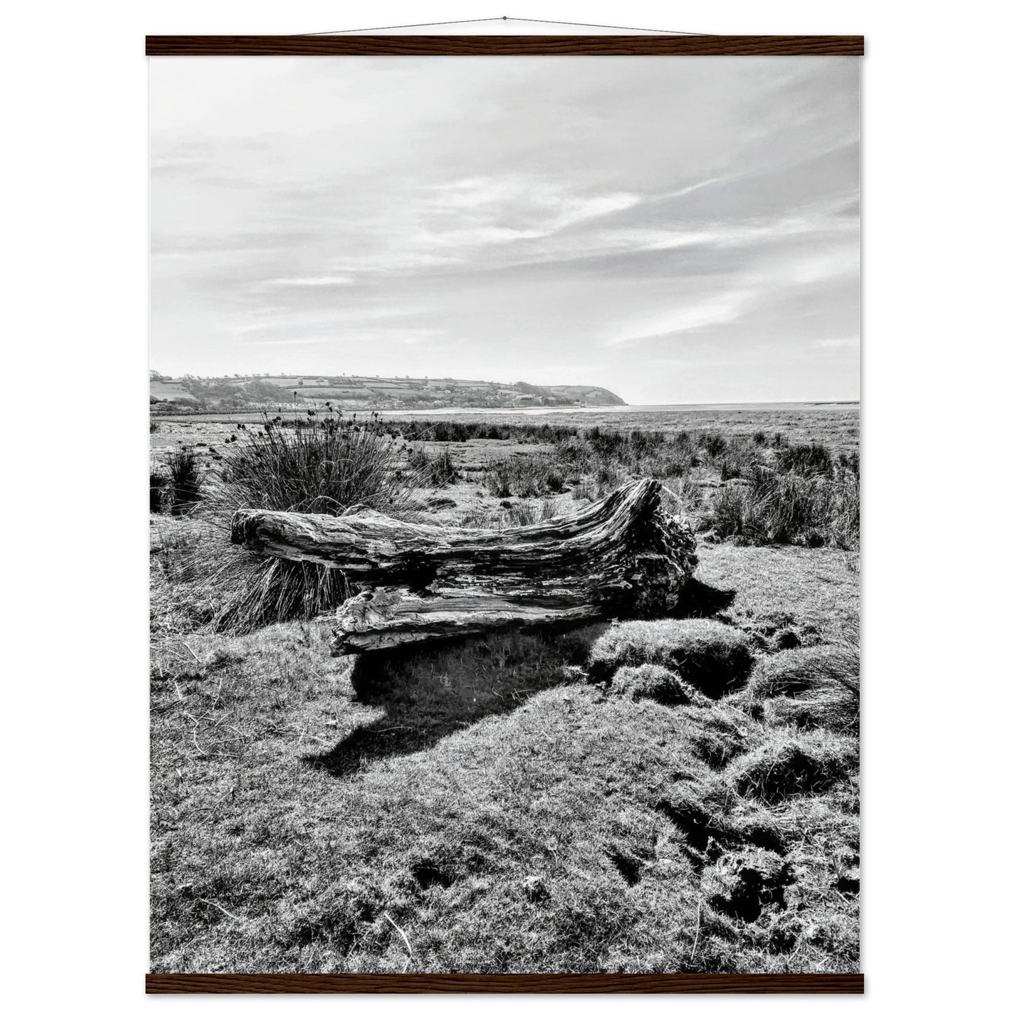 4efc6824-b4a3-4dd6-b2c3-dbd0d4d1aa4c