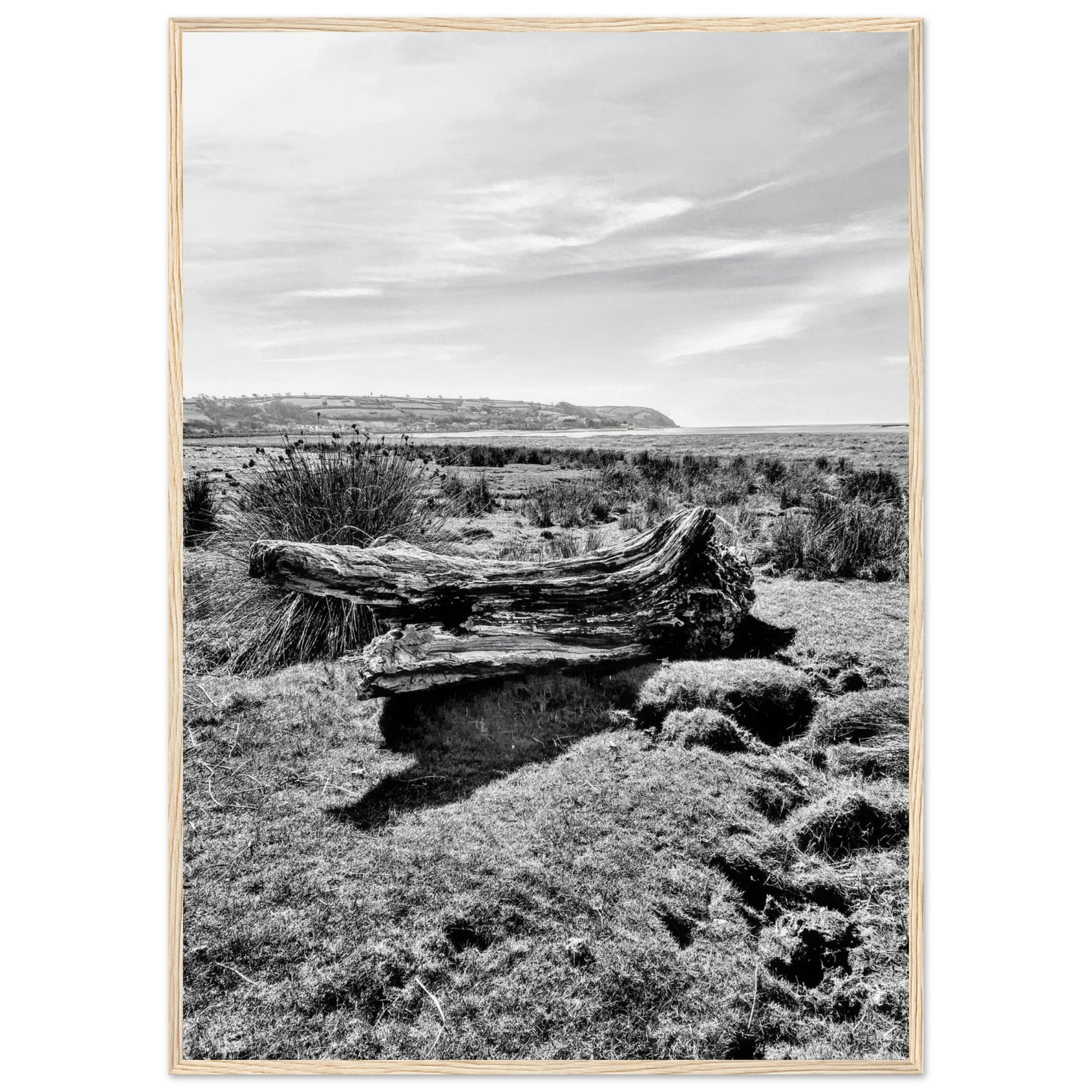 50bdb549-ed44-4585-bdfe-b2f32ba93d4d