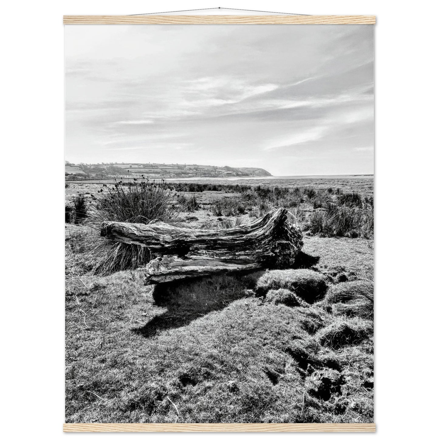 51624573-9ab3-4e01-aced-c8a956079ef2