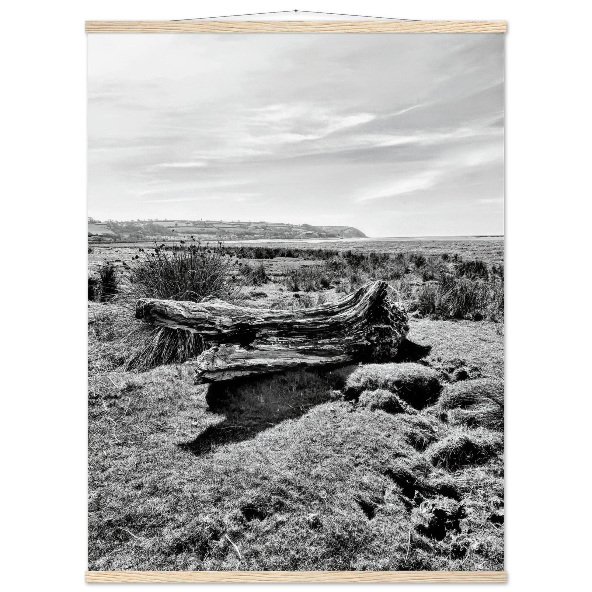 51624573-9ab3-4e01-aced-c8a956079ef2