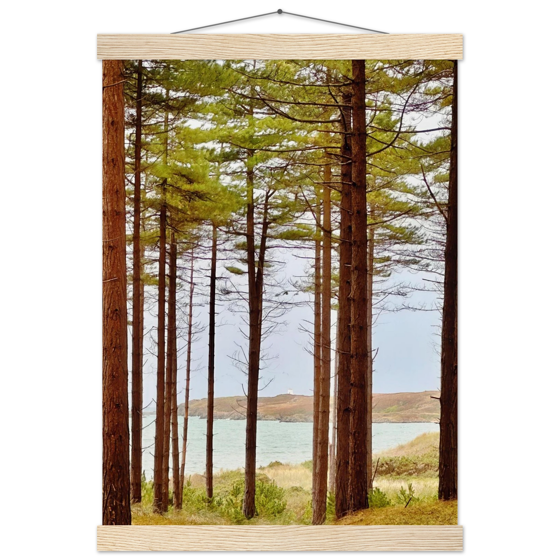 541b8fc1-86d1-43c6-b920-aa994088fbfa