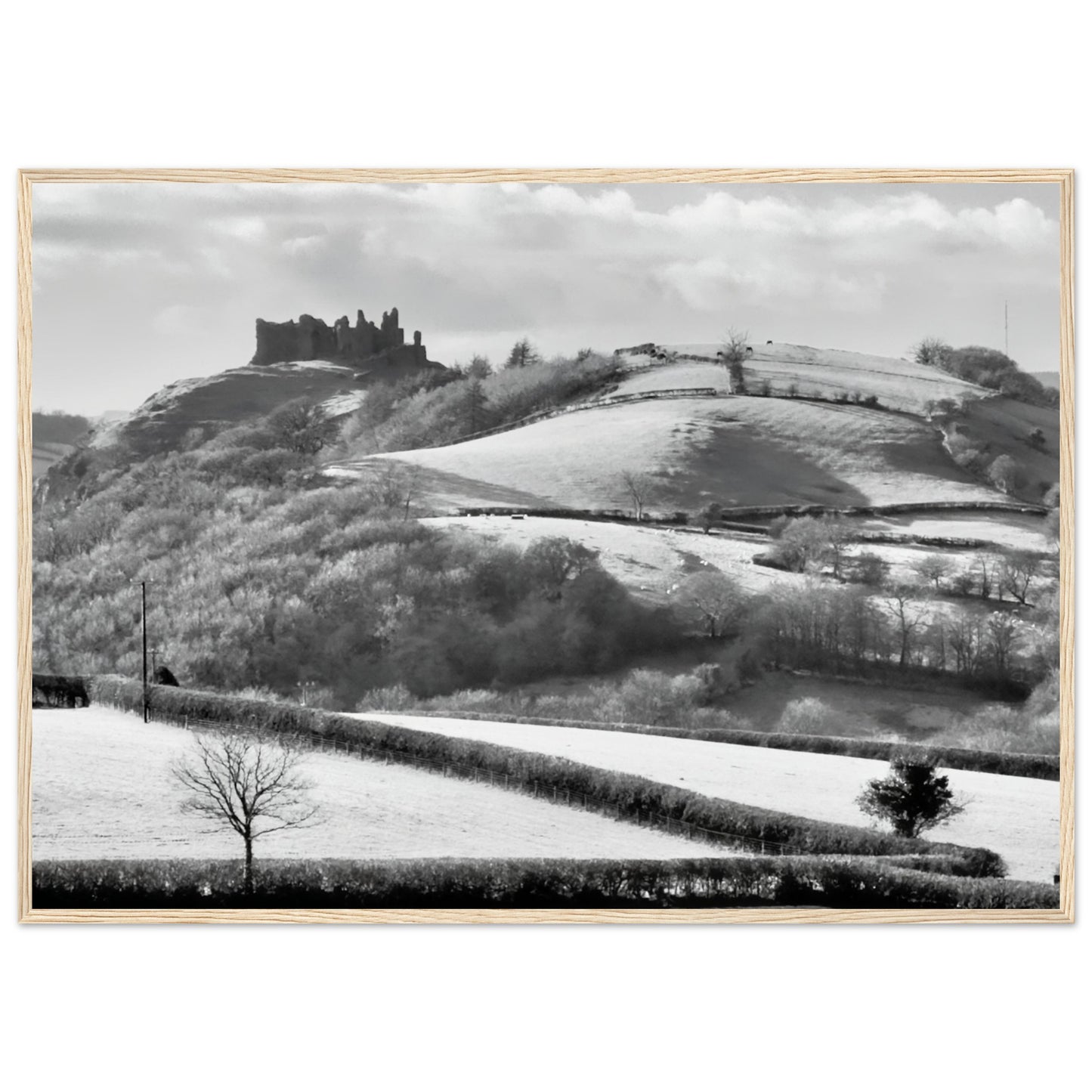 563140ec-76c7-4d96-a211-46093137d4e5