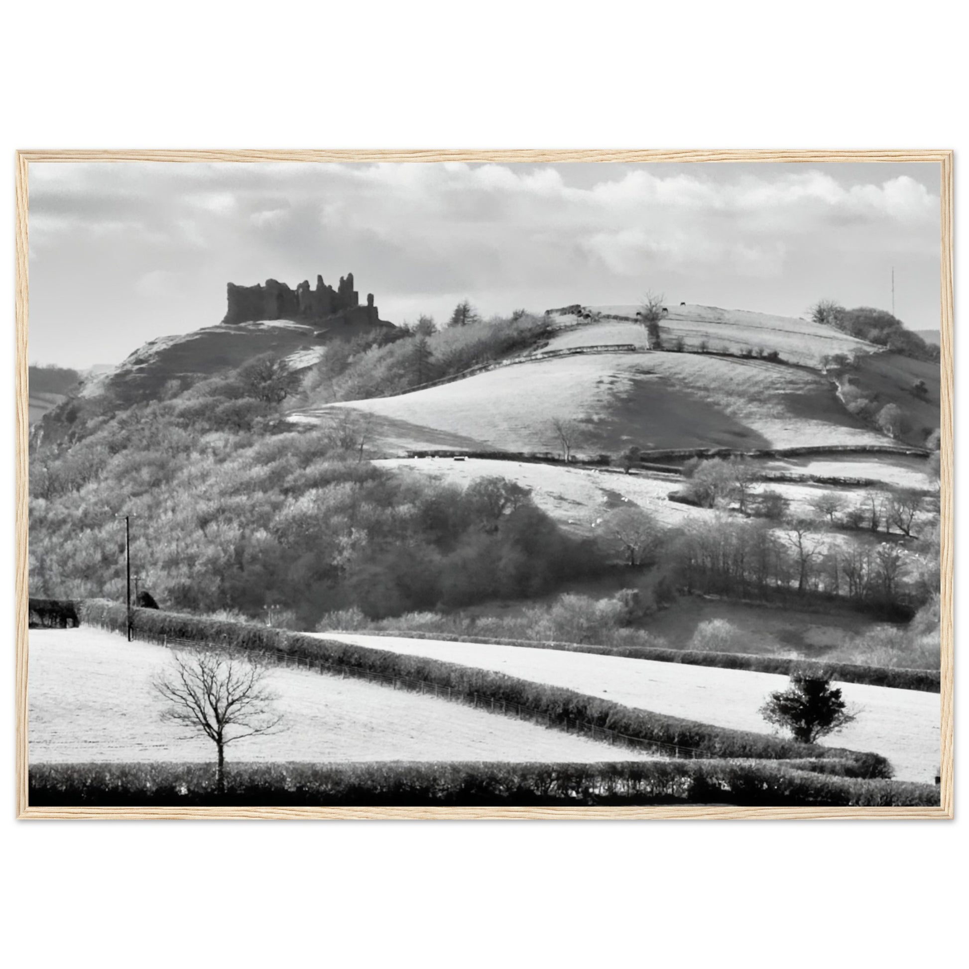 563140ec-76c7-4d96-a211-46093137d4e5