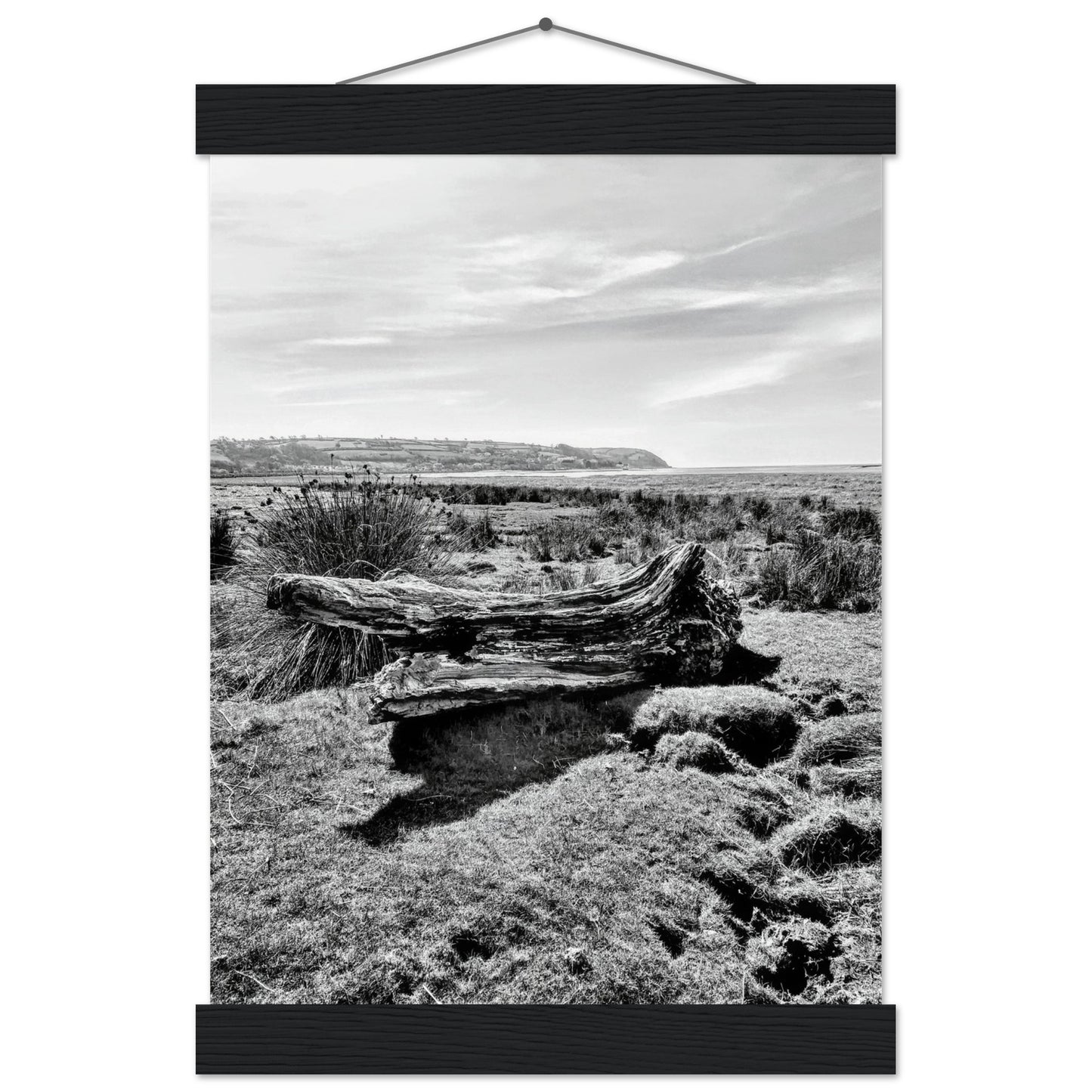 566db865-8b1c-4441-9fe5-3321e32121f6