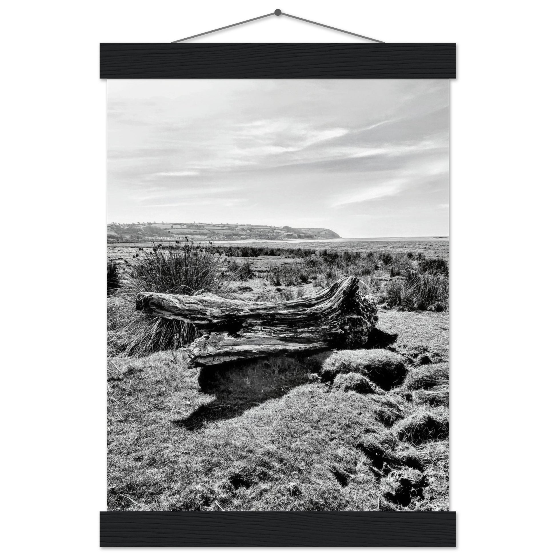 566db865-8b1c-4441-9fe5-3321e32121f6