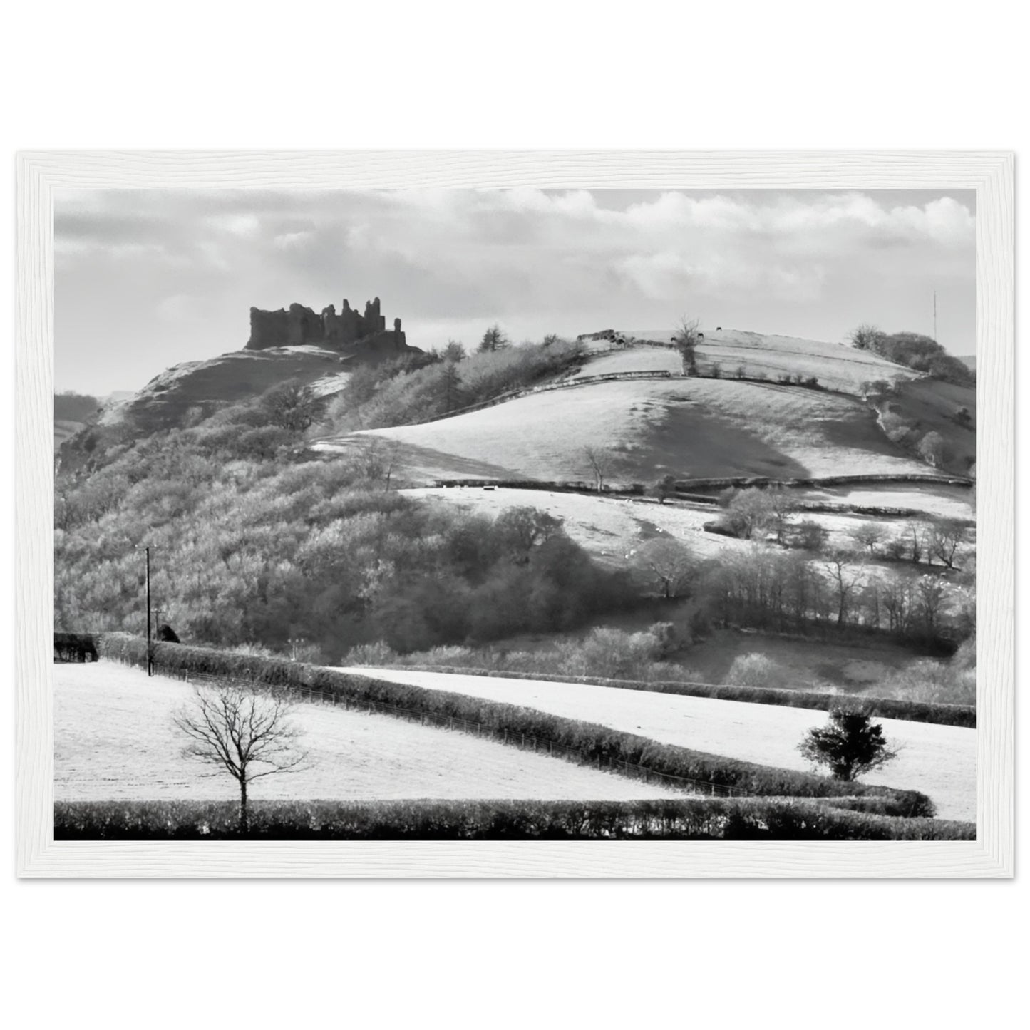 5a1f5894-ccdc-4a4e-b3c8-d297780d82cf