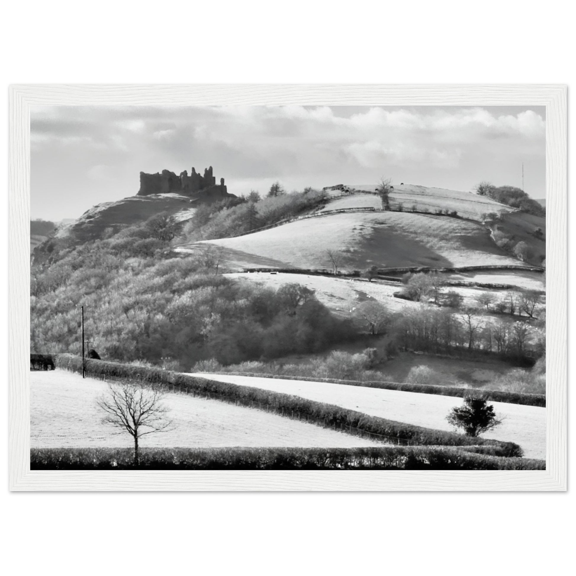 5a1f5894-ccdc-4a4e-b3c8-d297780d82cf