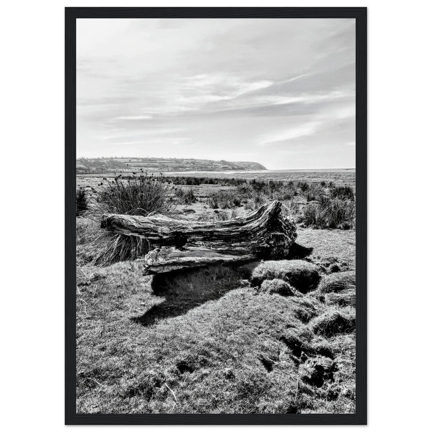 5b29d141-ba4a-446c-bbad-b973a8e6dc78