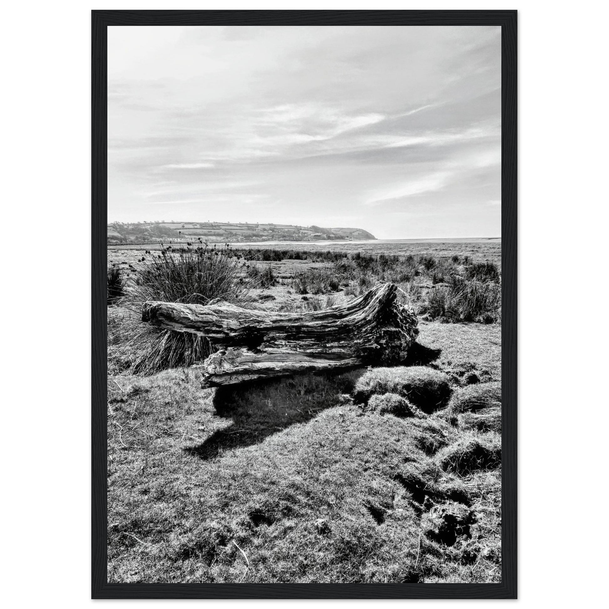 5b29d141-ba4a-446c-bbad-b973a8e6dc78