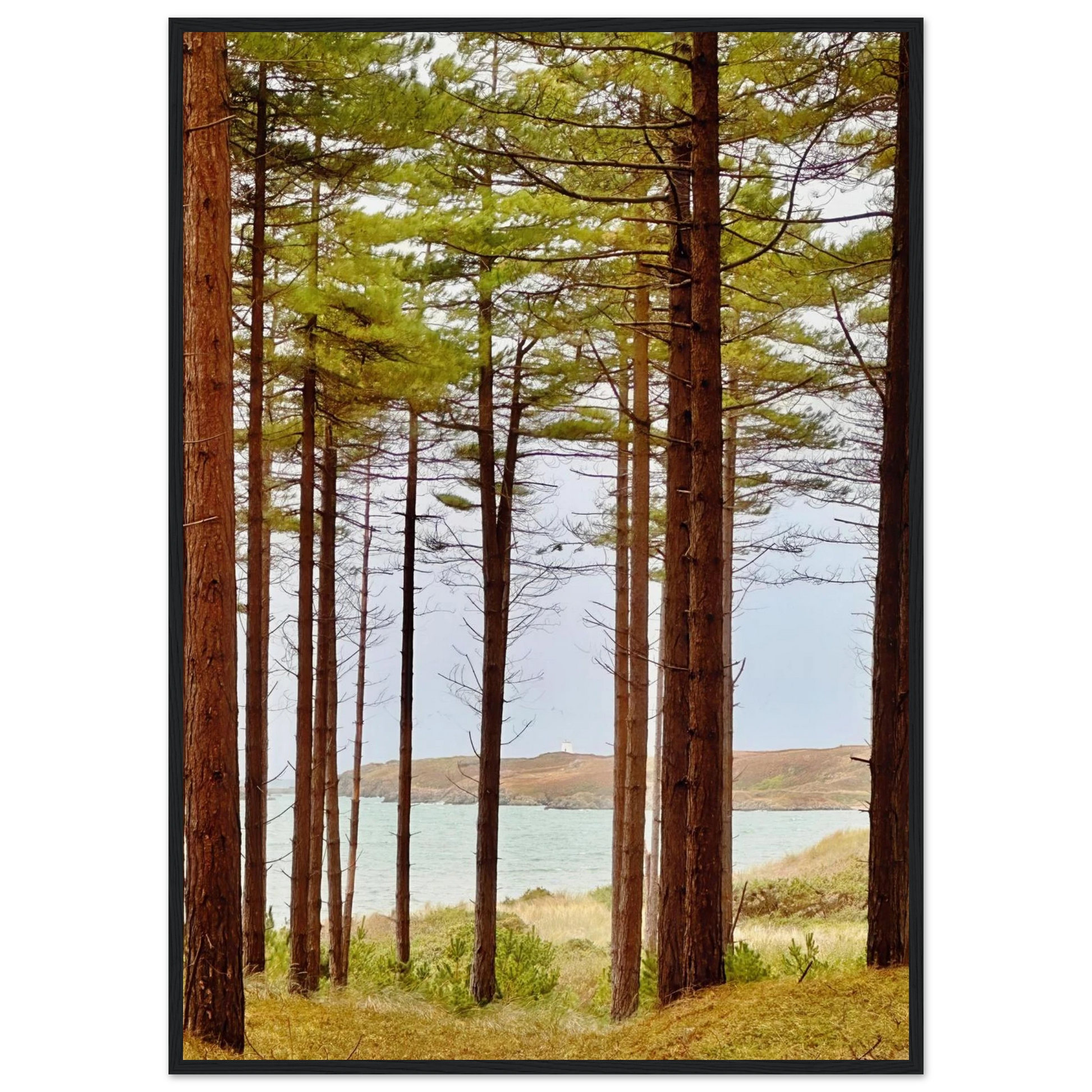 5c10d472-cebe-4276-8ae7-5b1e6a64bc54