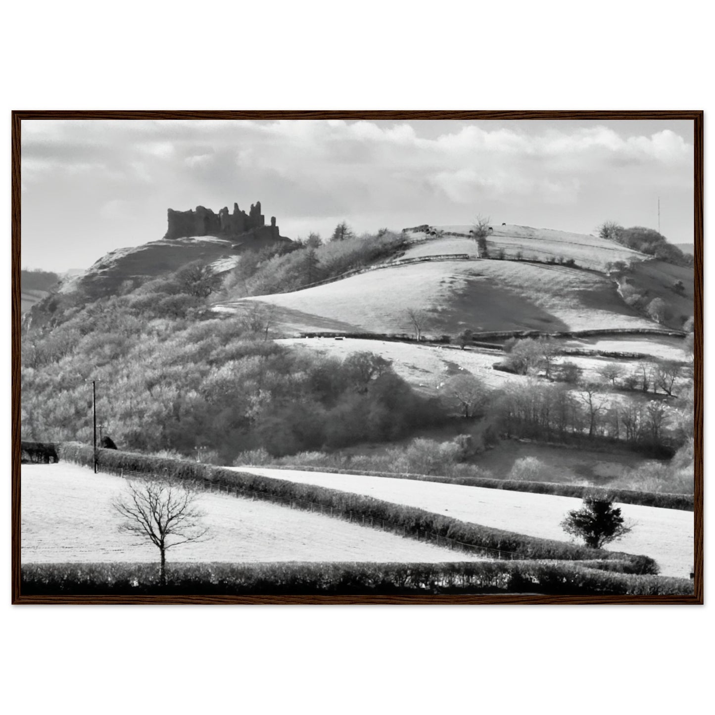 5dd730e5-932a-422f-b085-37347f5e6e80