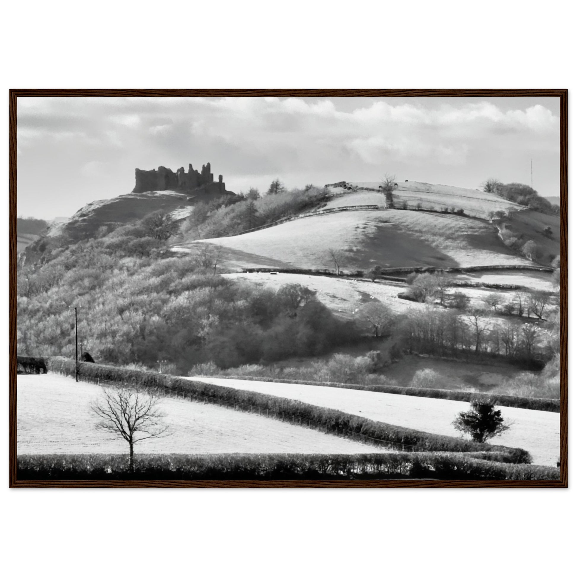 5dd730e5-932a-422f-b085-37347f5e6e80