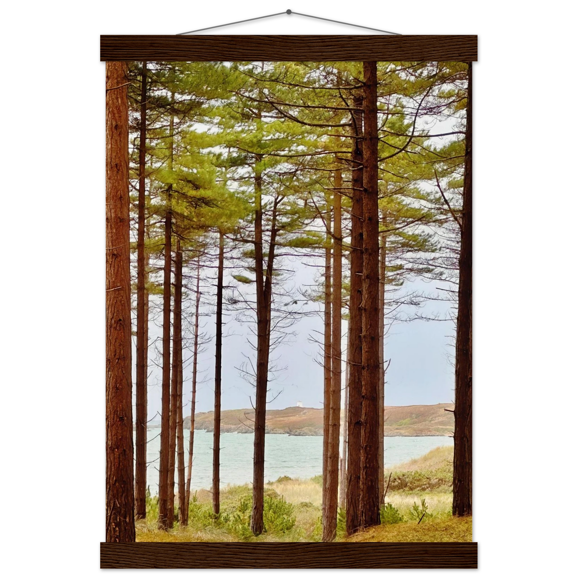 600b9e0e-550d-4d3d-a528-8d2b5c9374be