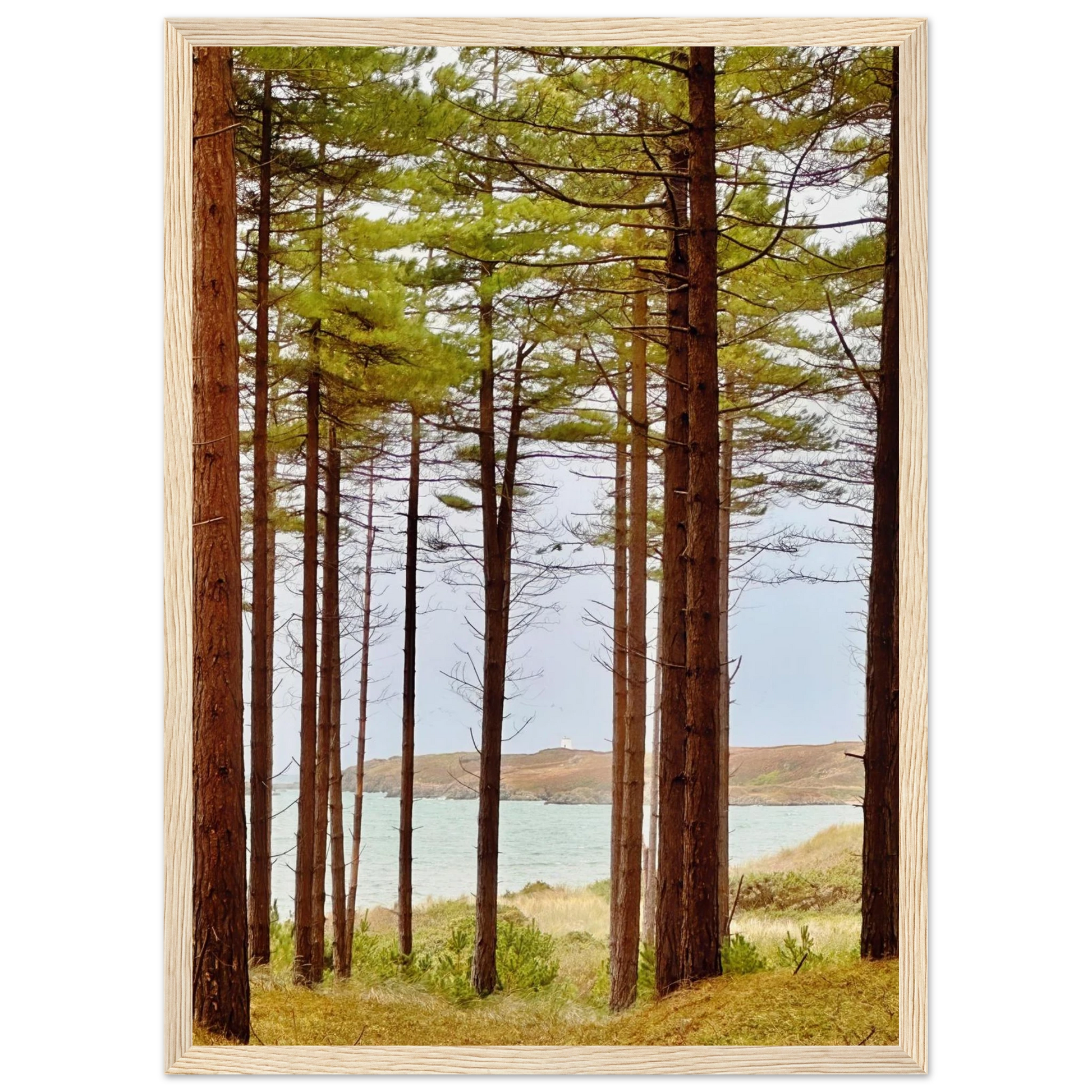 6480cbad-7788-42ee-acaa-afc892680bef