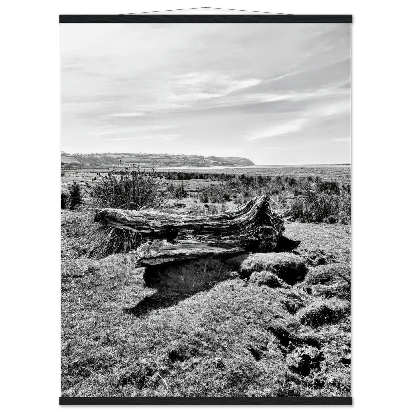 65c0a63d-94a8-44fa-936d-ba7bc0a8a658