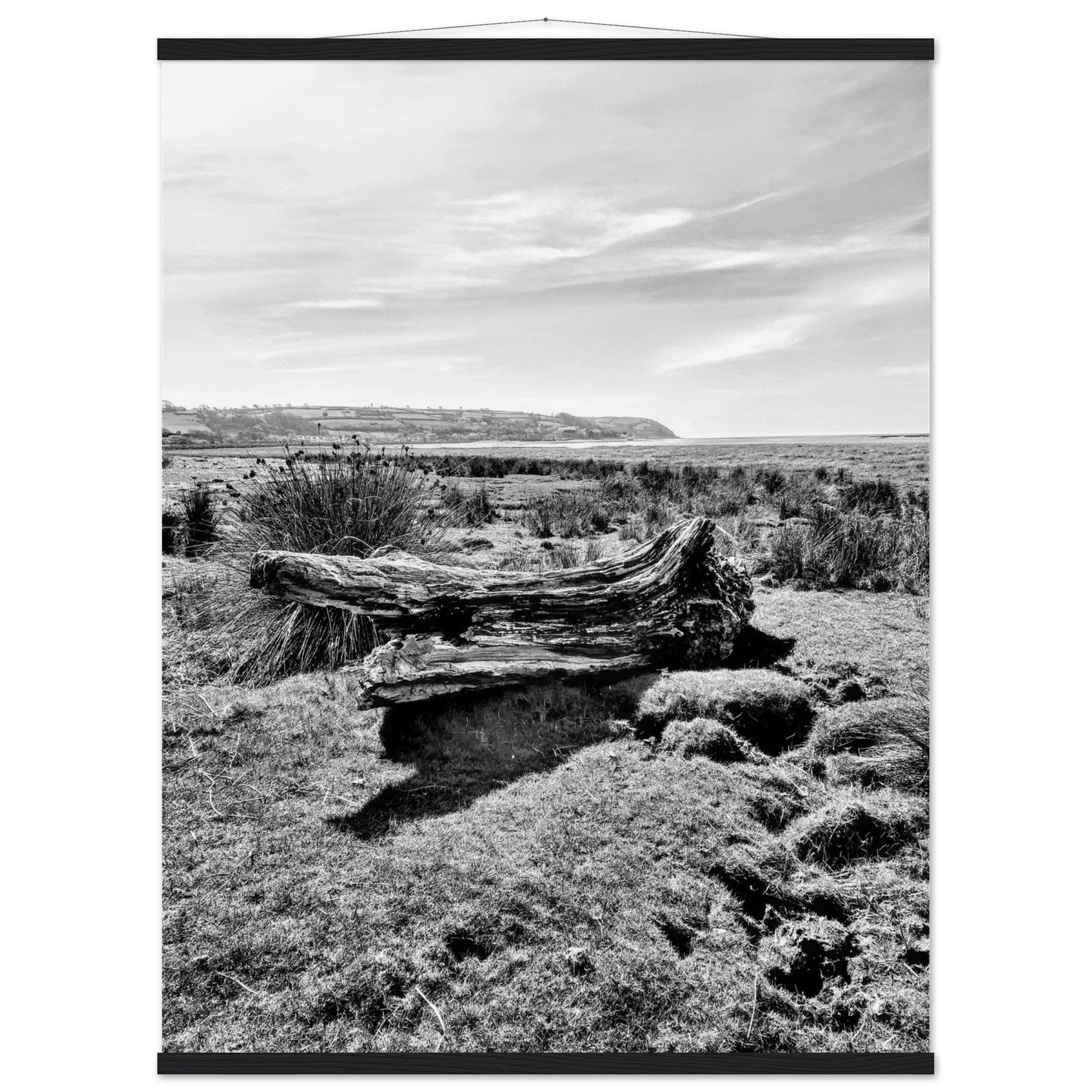 65c0a63d-94a8-44fa-936d-ba7bc0a8a658