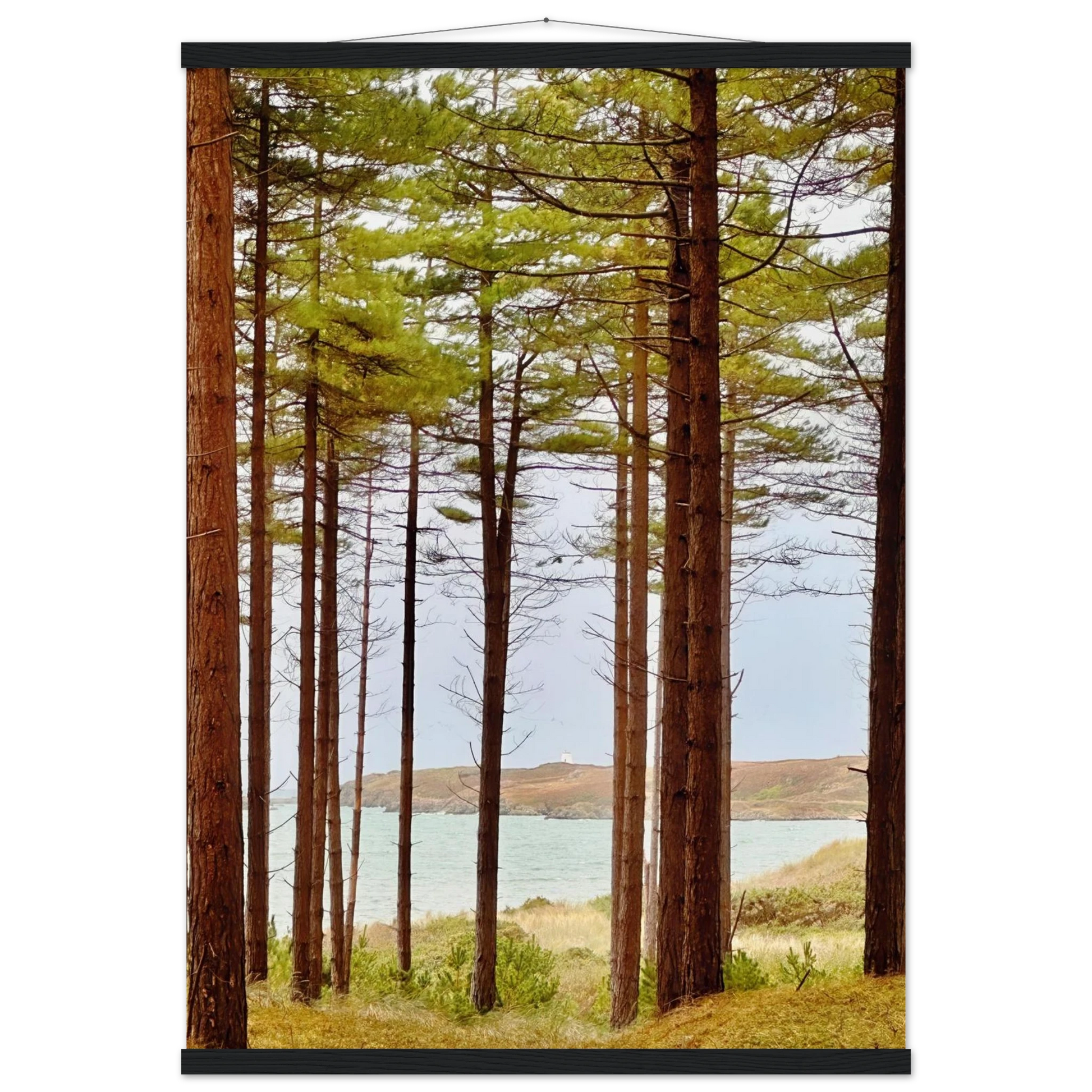 6852b89e-caea-4691-a4ef-abeb4599f1a7