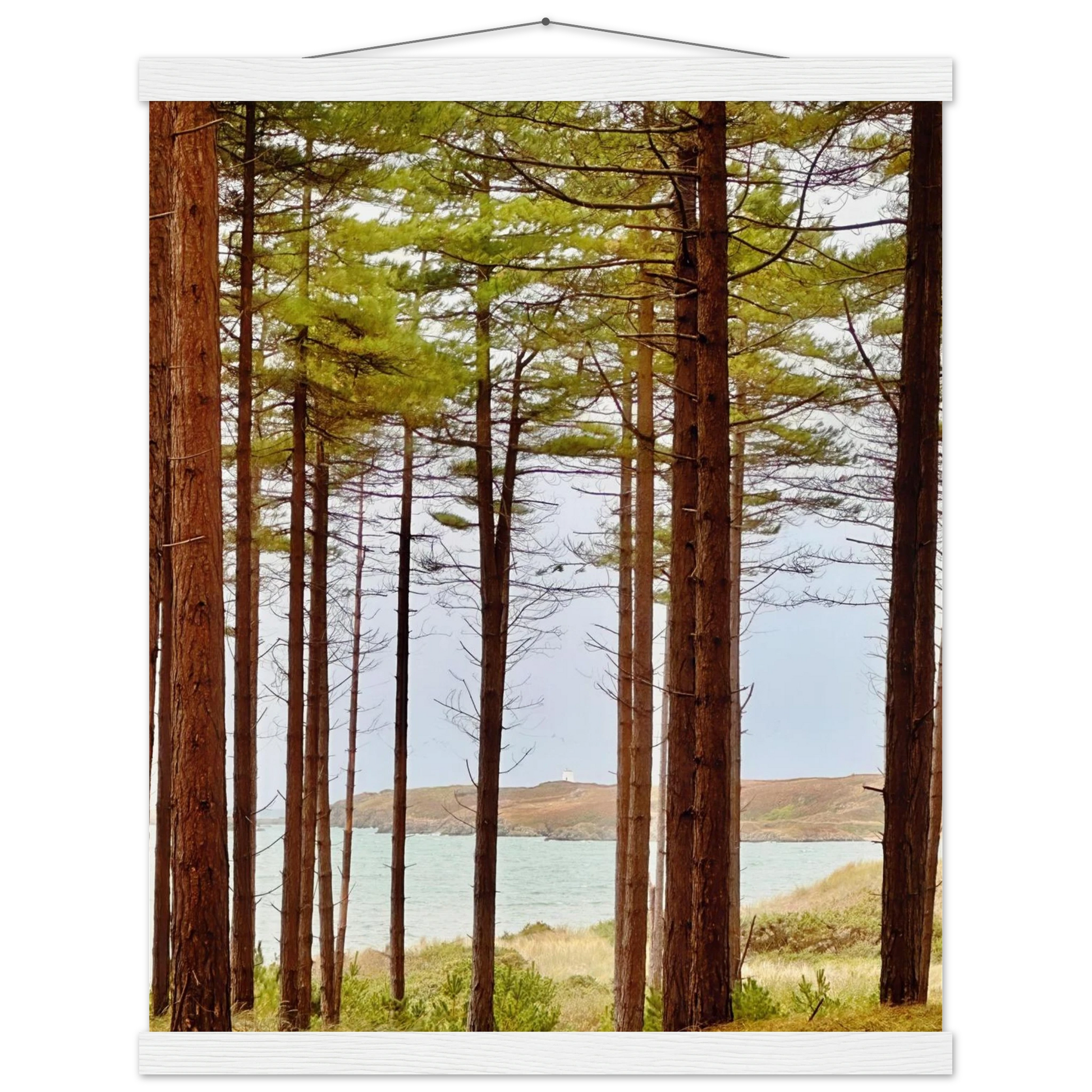 6d83dd8b-4133-4d7e-a822-bd0c8c826641