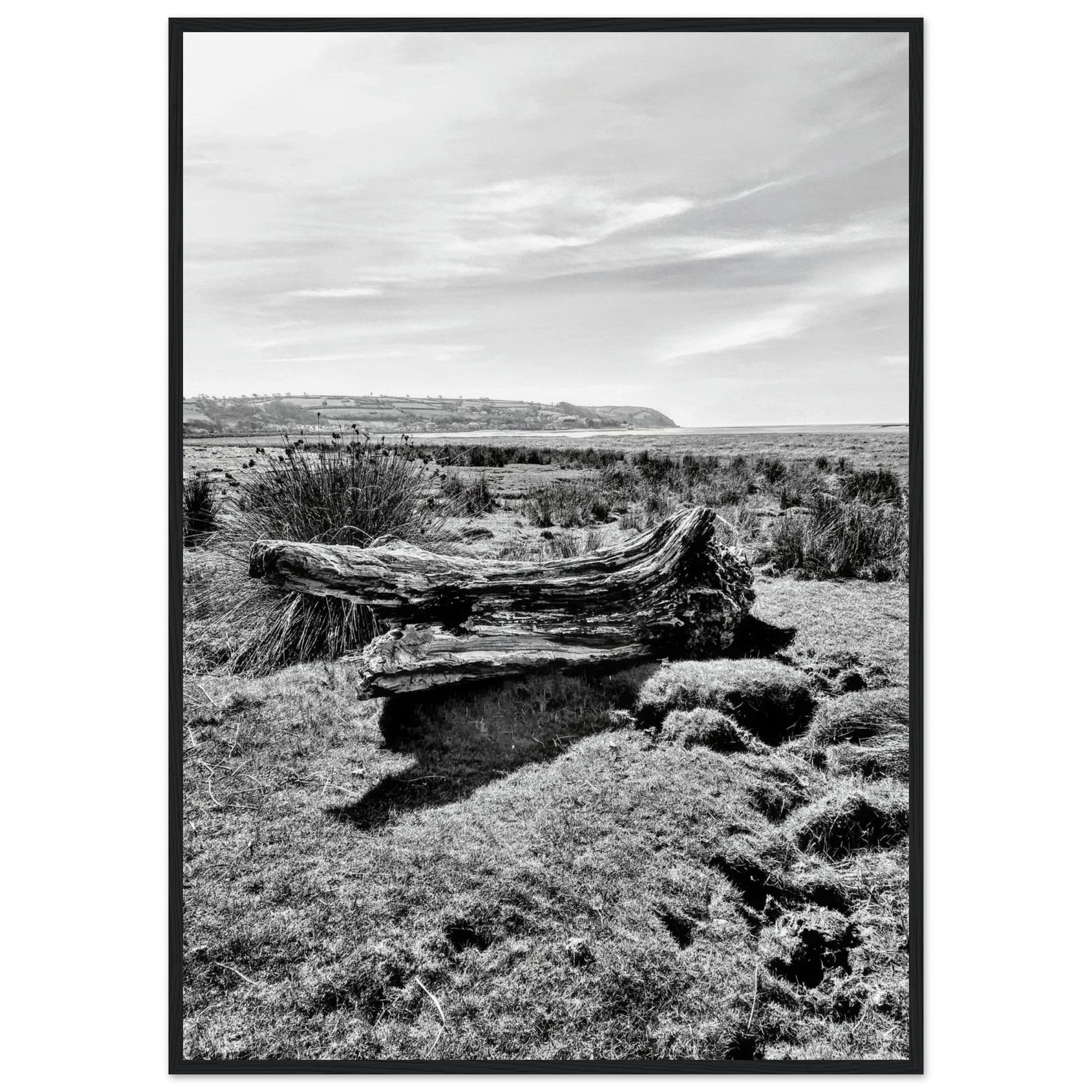 6dfeb4a6-512e-4a6e-b94b-37d7b2d4ffbe