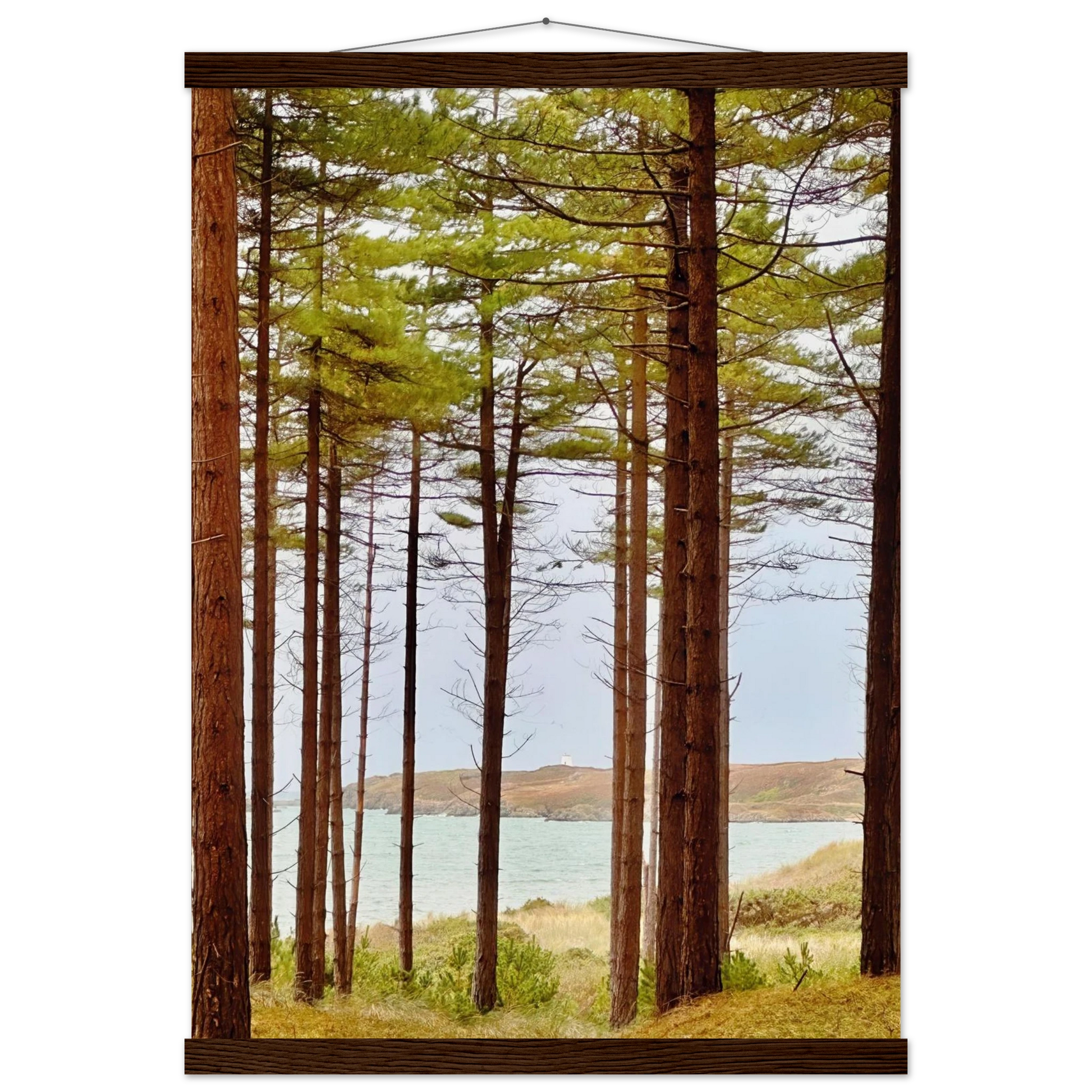 6e6e2823-5a23-487d-937a-1bc14e56270a