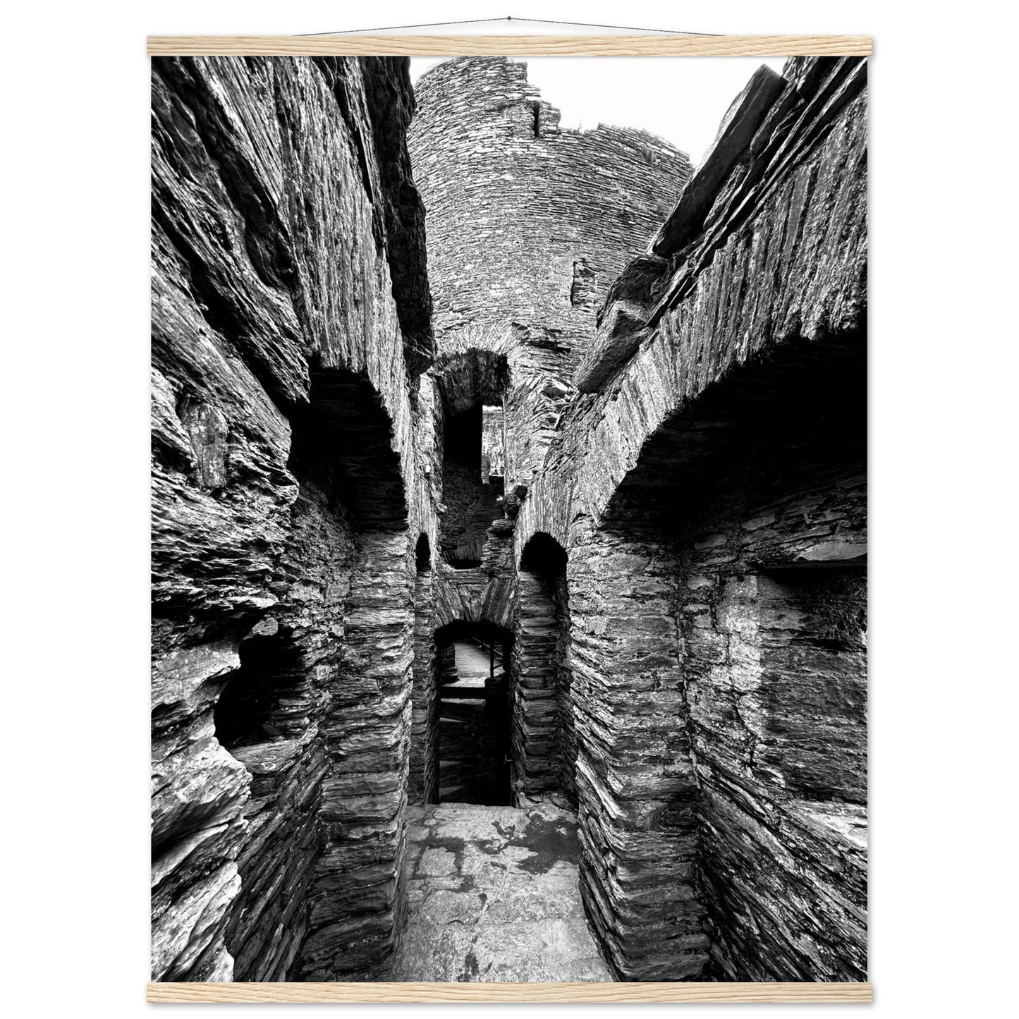 702ee7ef-e89a-4d9f-9265-a9076a24e033