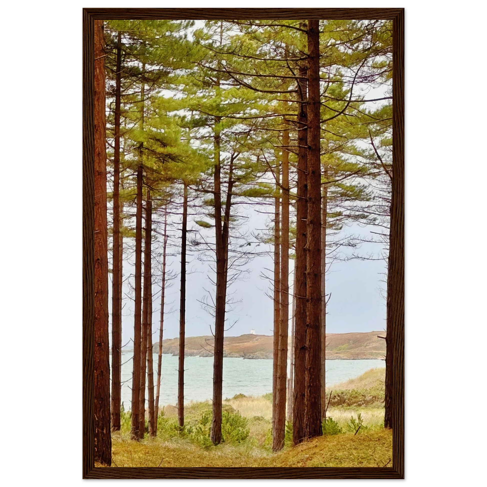 715d347a-71f7-4ae9-8511-c2eee88c7c89