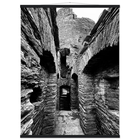 7220bac1-5826-4de6-89e8-9f304d7375f6