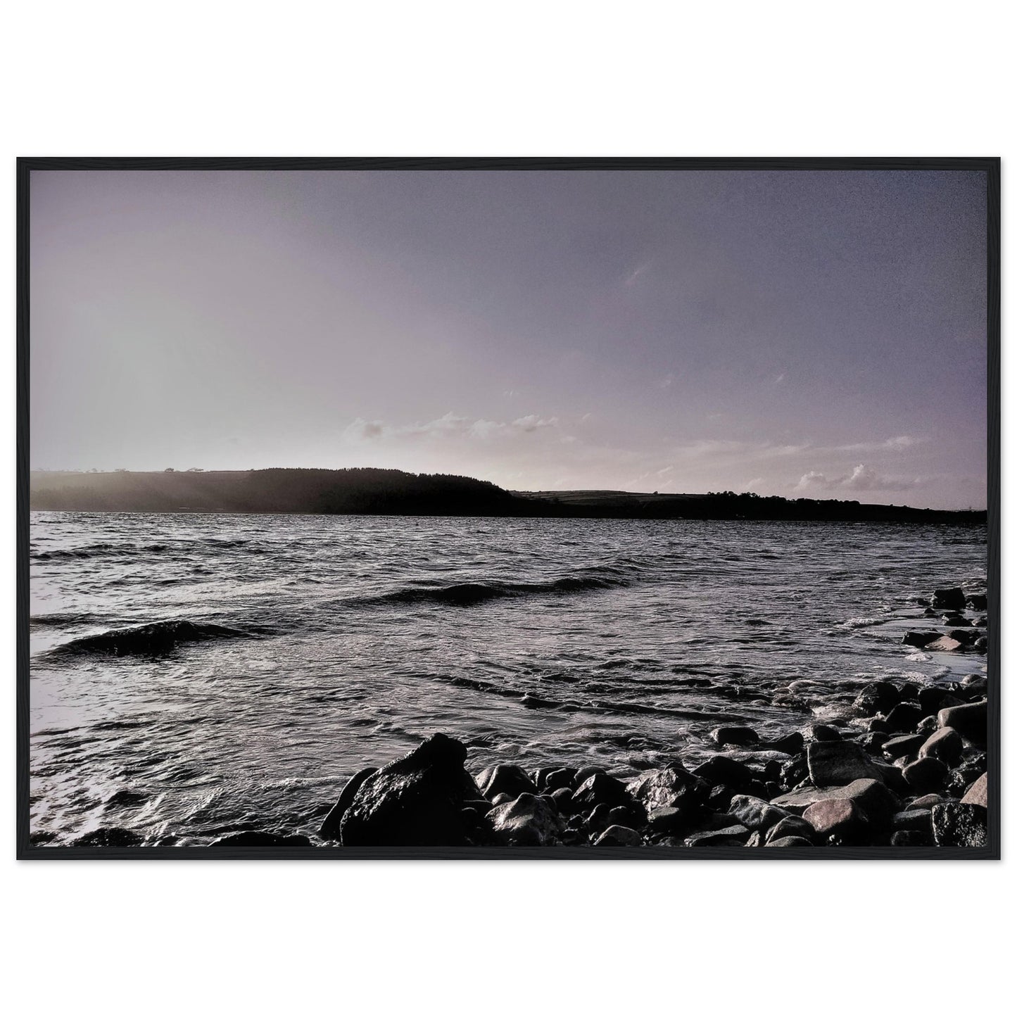 7376f4d2-2fd8-47fc-9bd6-e96857e7880d