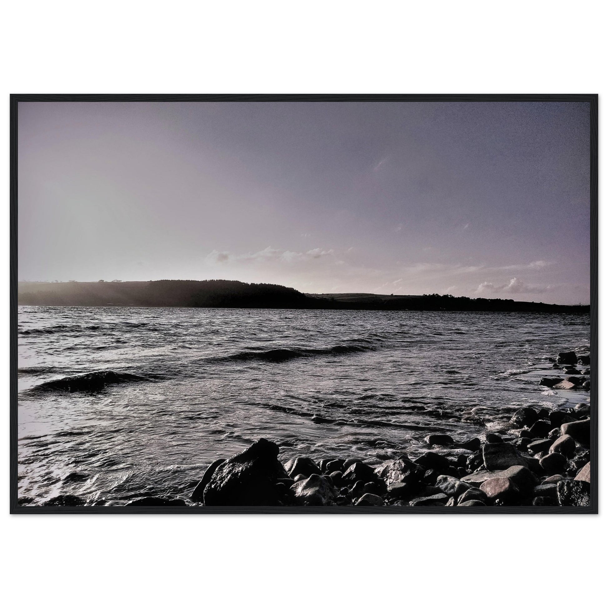 7376f4d2-2fd8-47fc-9bd6-e96857e7880d