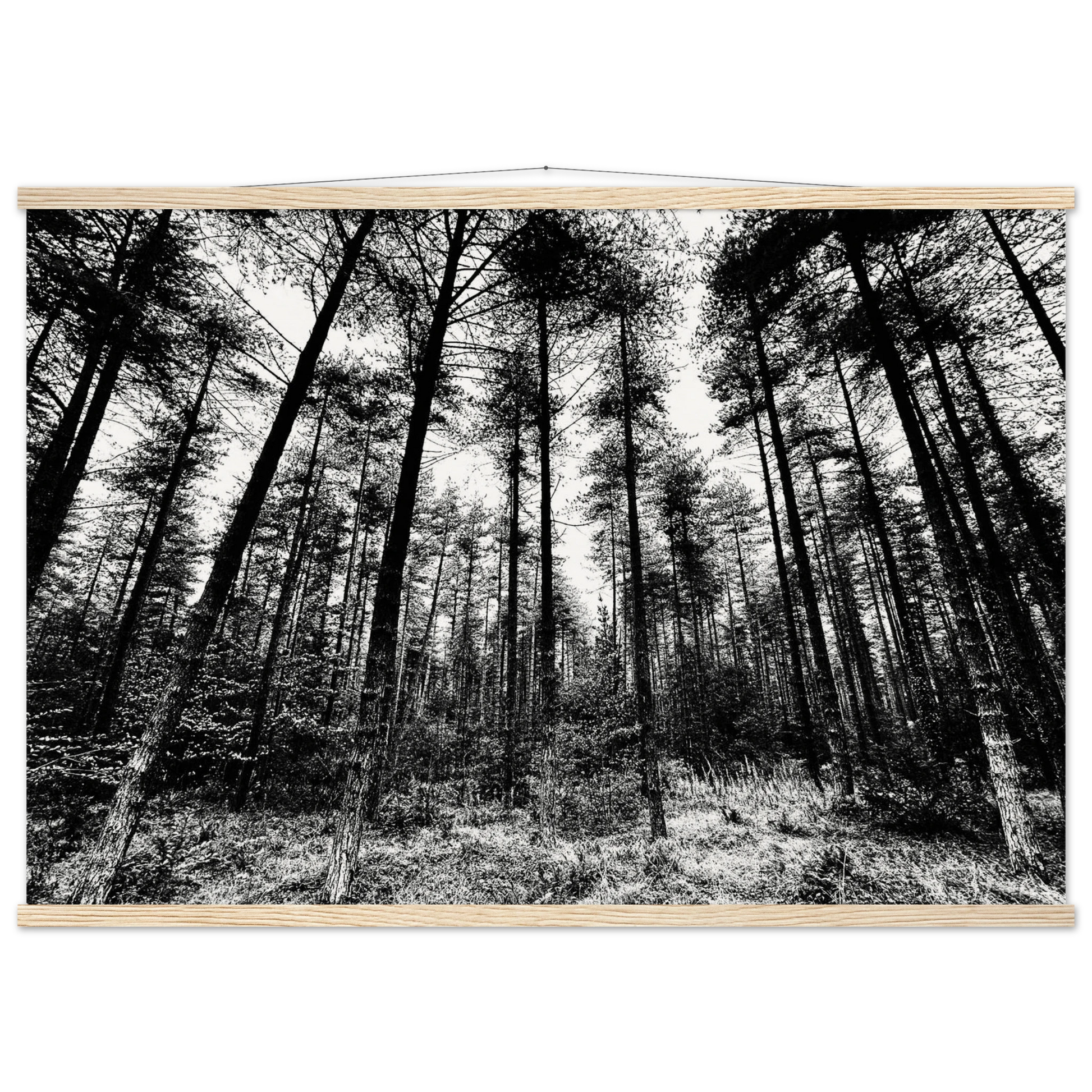 7522dc9c-b45f-46af-a48e-1c2f3e96e7c4