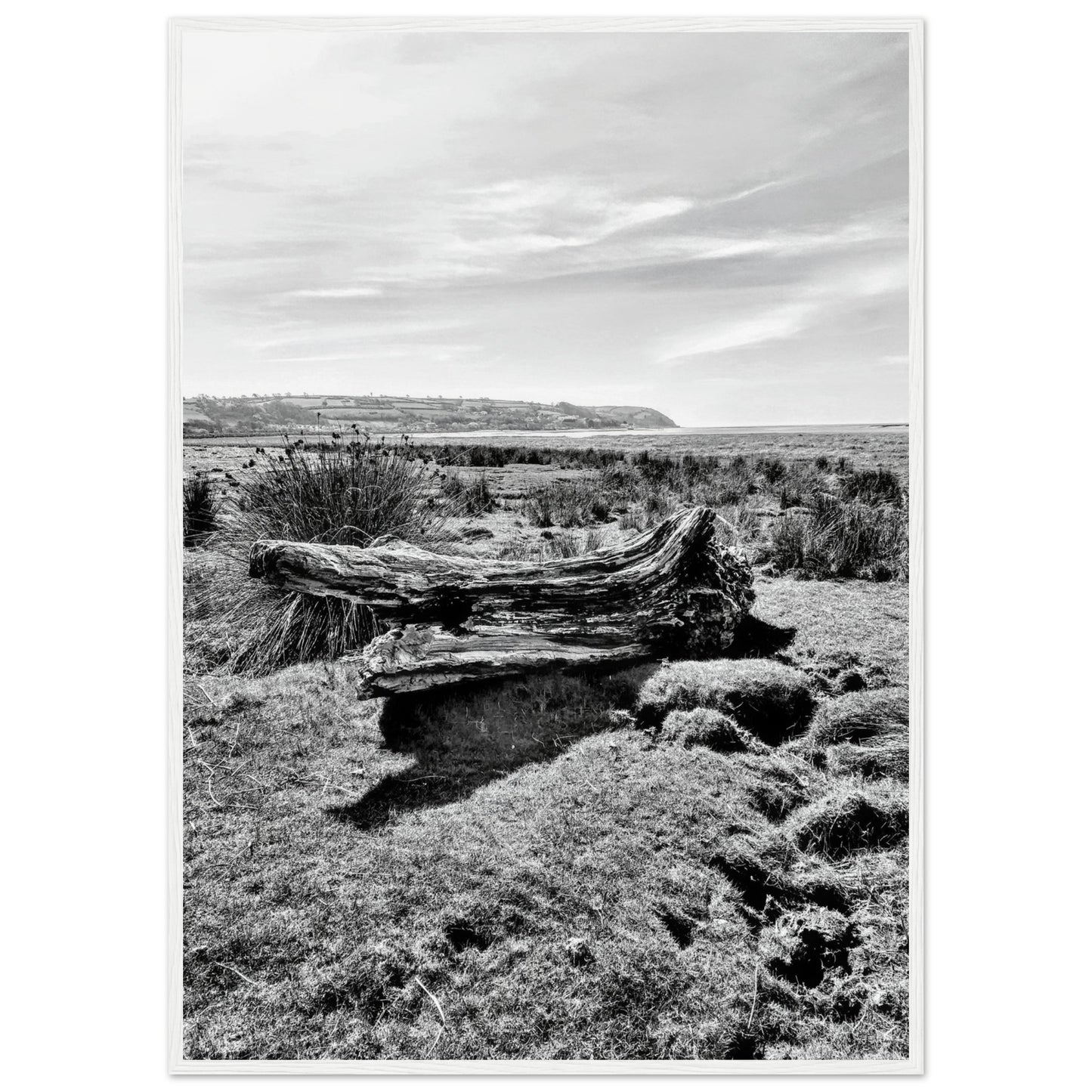 7550fd9e-c03e-47fb-a4ac-741f59fbab20