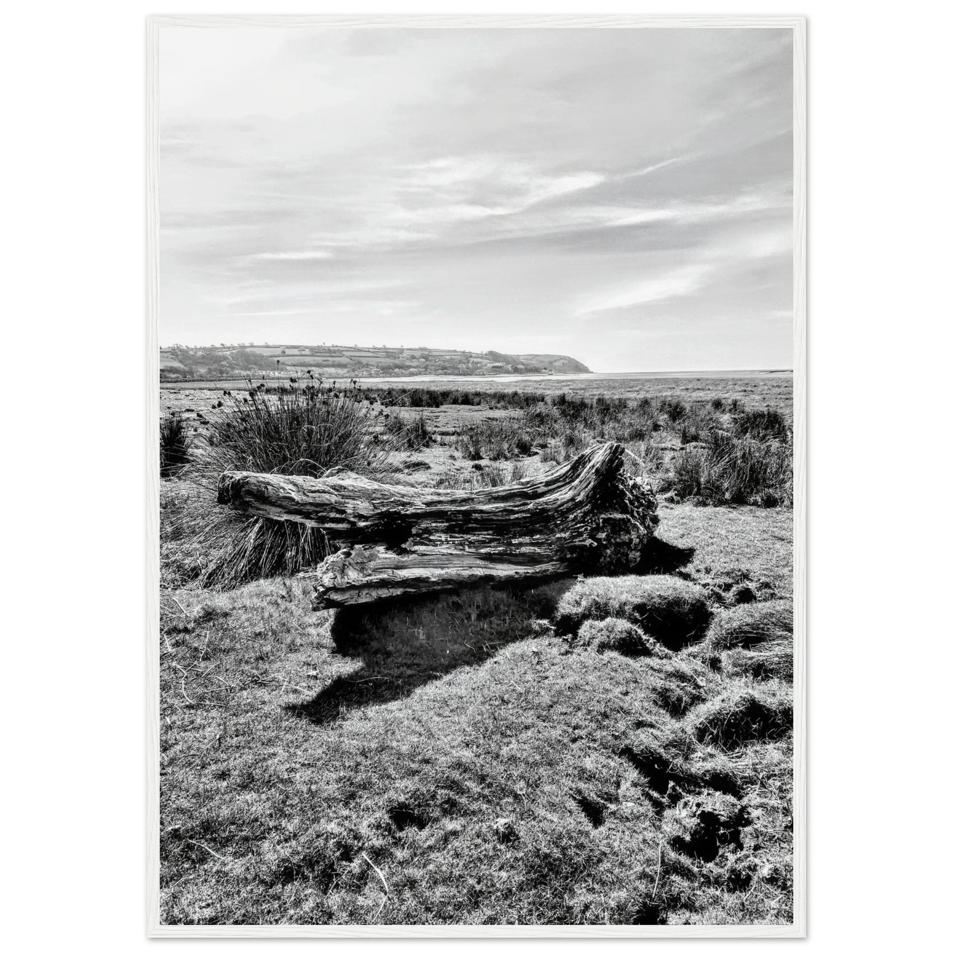 7550fd9e-c03e-47fb-a4ac-741f59fbab20