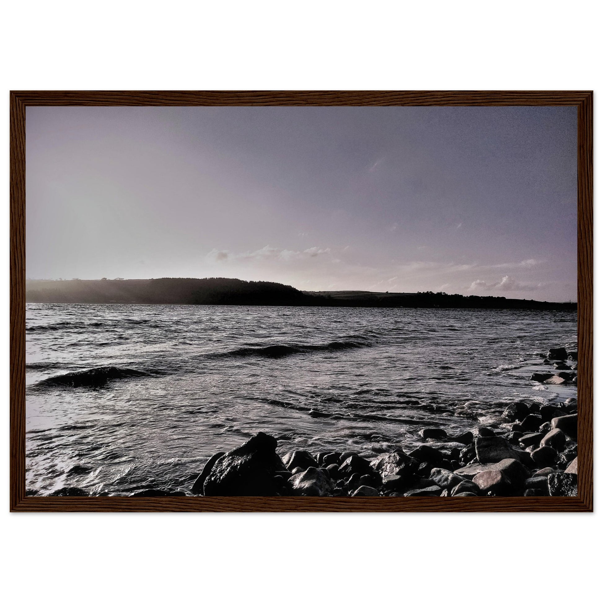 7a3bff8b-5f79-4282-aec6-60310bb59262