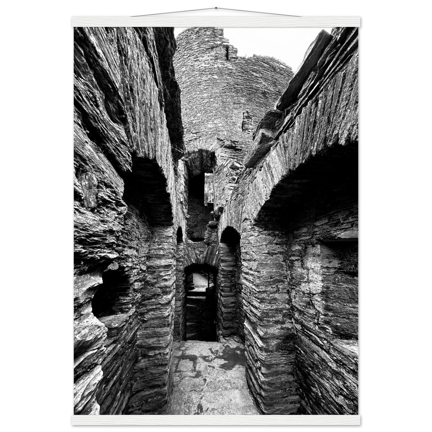 7a6f0244-34e2-4efa-9b91-969dd19aaec1