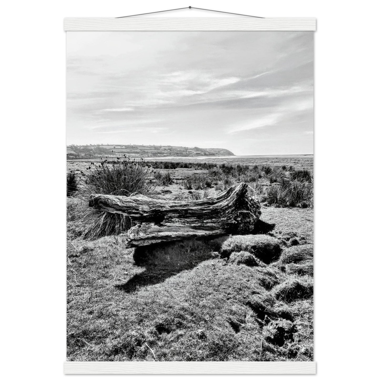 7b7ece21-1dc6-4594-ac94-e5fb8916f3ab