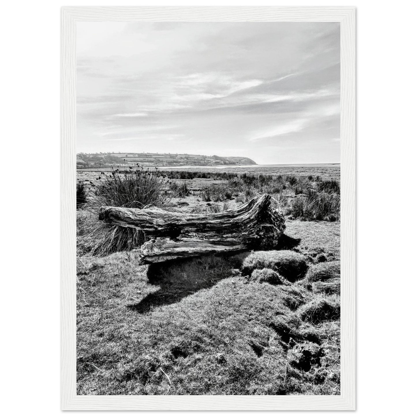 80480904-d479-4888-9d41-421c488398c4