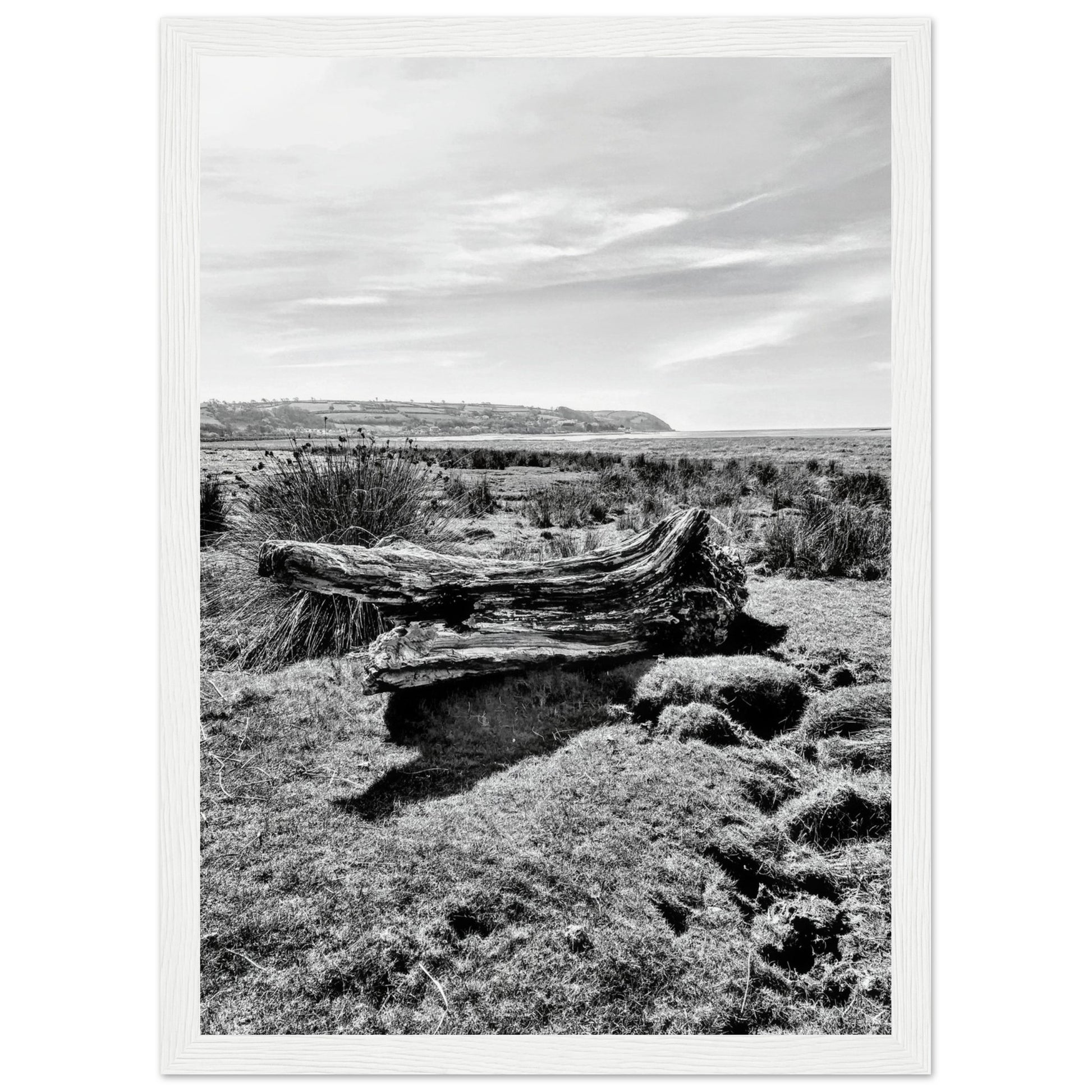 80480904-d479-4888-9d41-421c488398c4