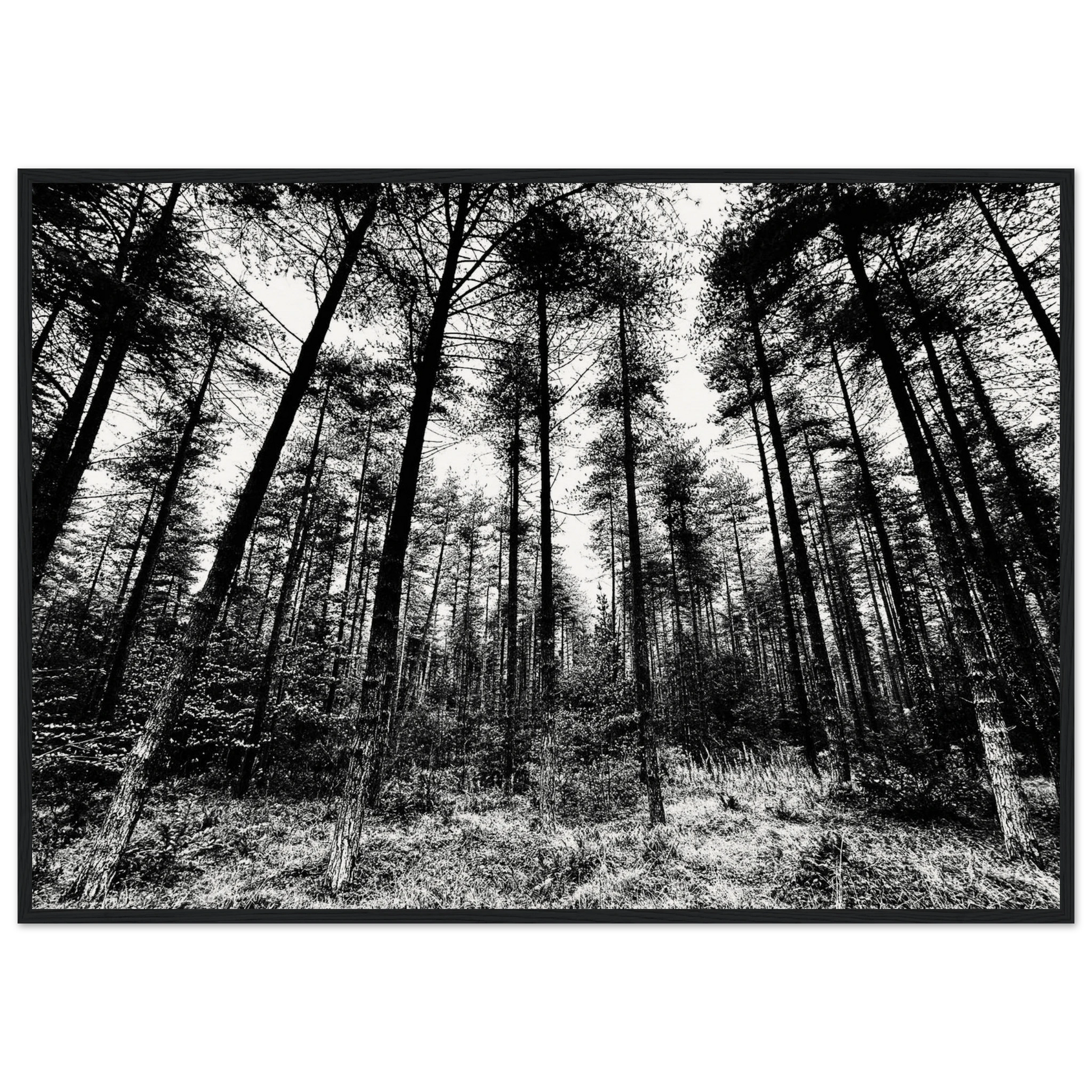 80736d92-1343-42b9-83c3-572bc23e47de