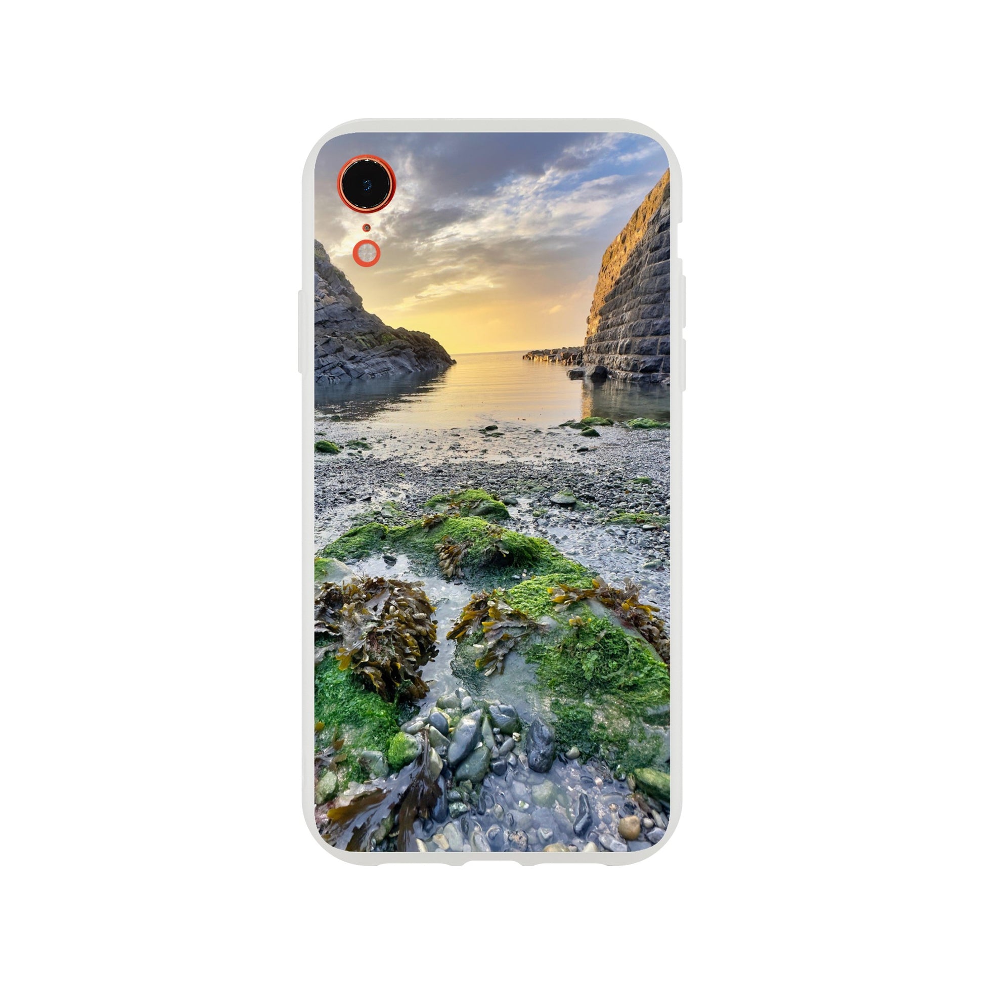 81ea1b5a-8f98-47c8-a42d-8e5ac4badc65