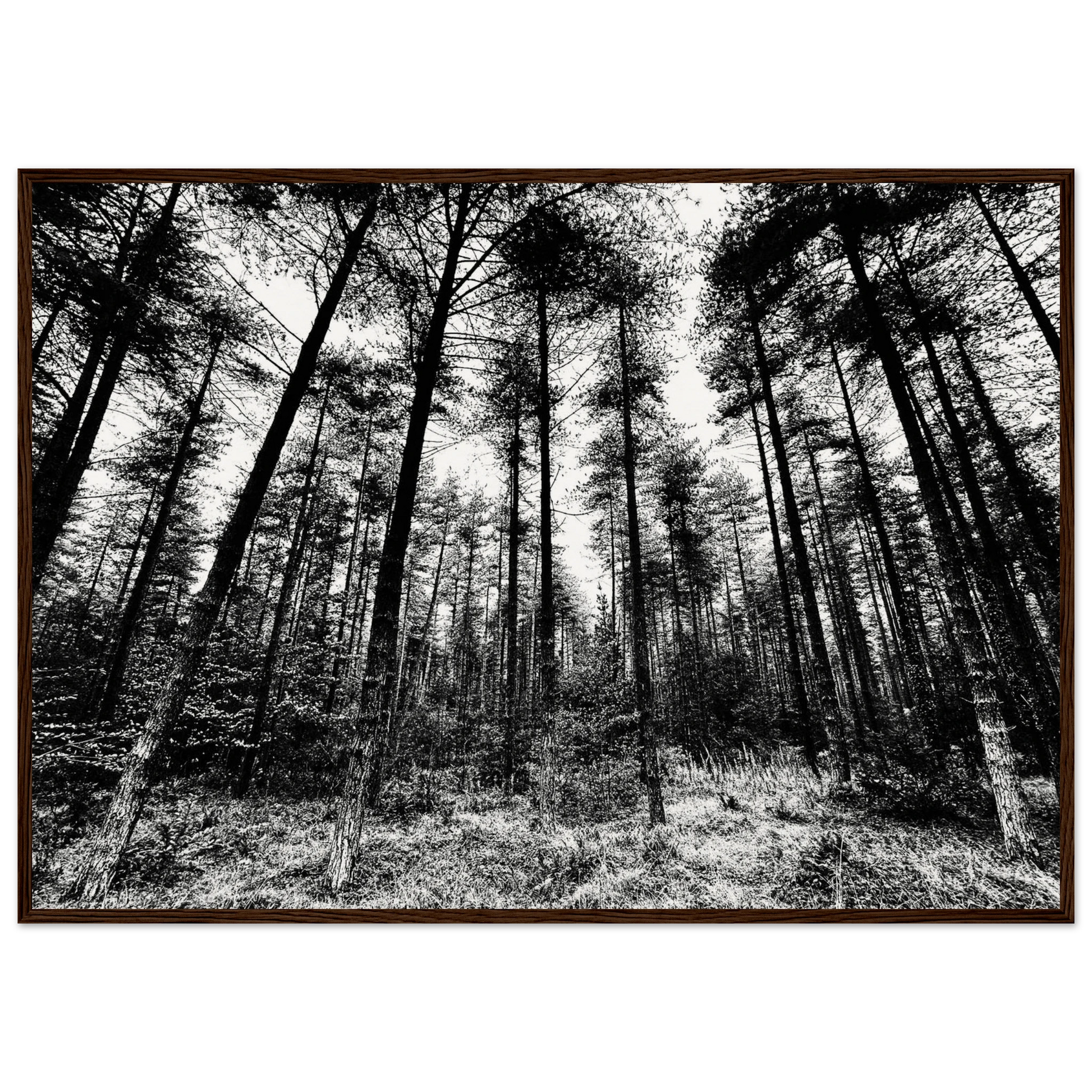 82481fa3-983d-4ad3-9461-c1a9330abd00