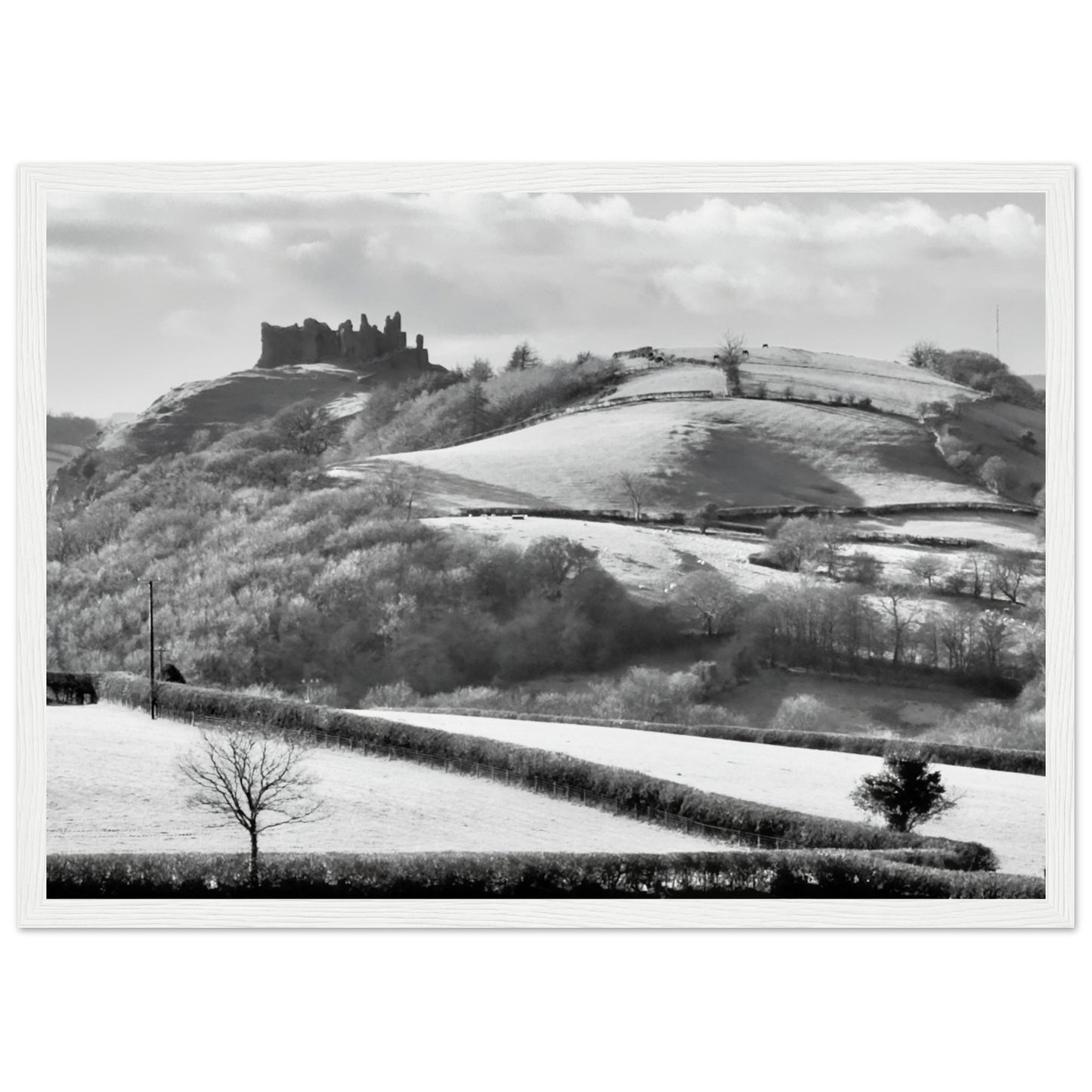 82b2709c-ca93-49a8-abd9-d189bae7b5ba