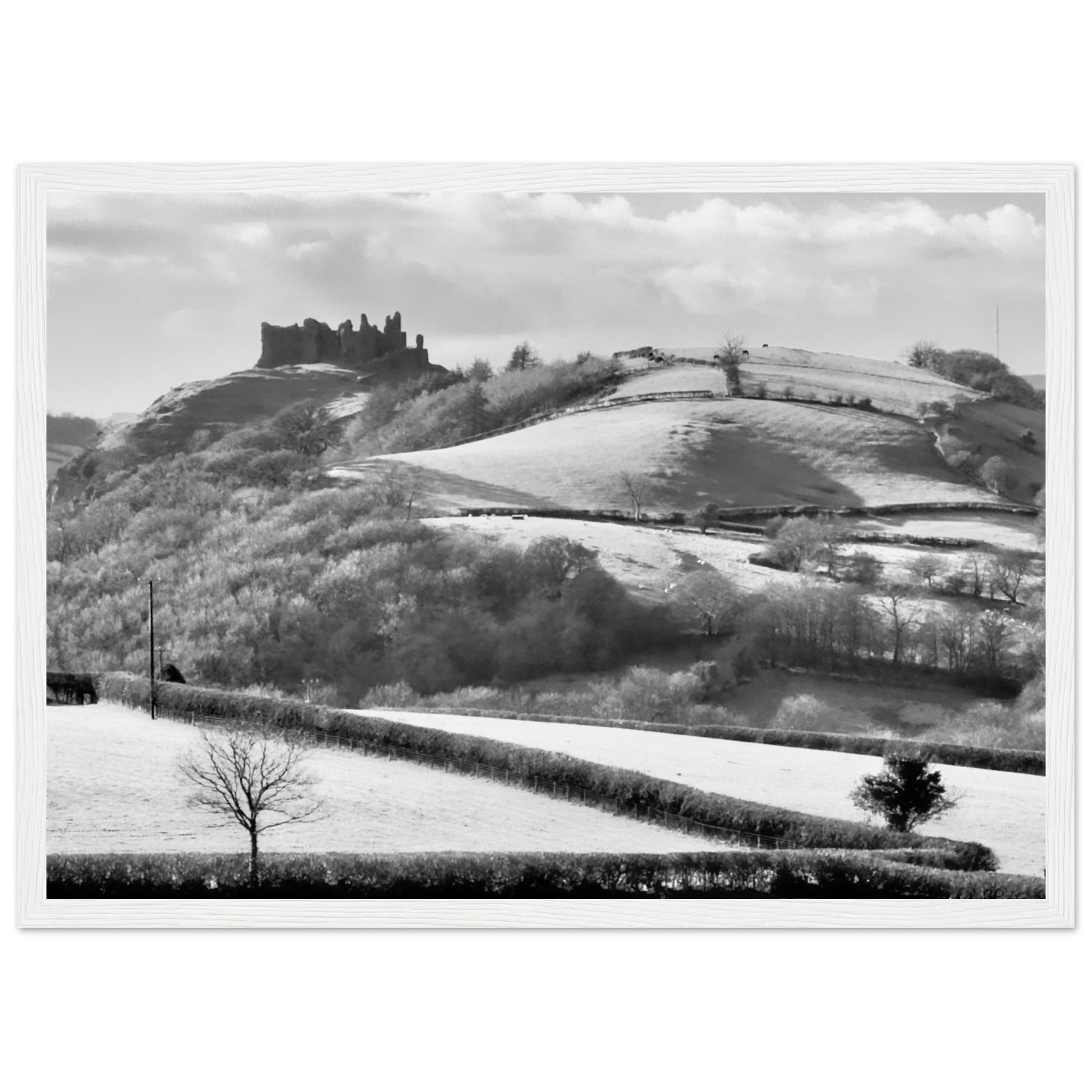 82b2709c-ca93-49a8-abd9-d189bae7b5ba